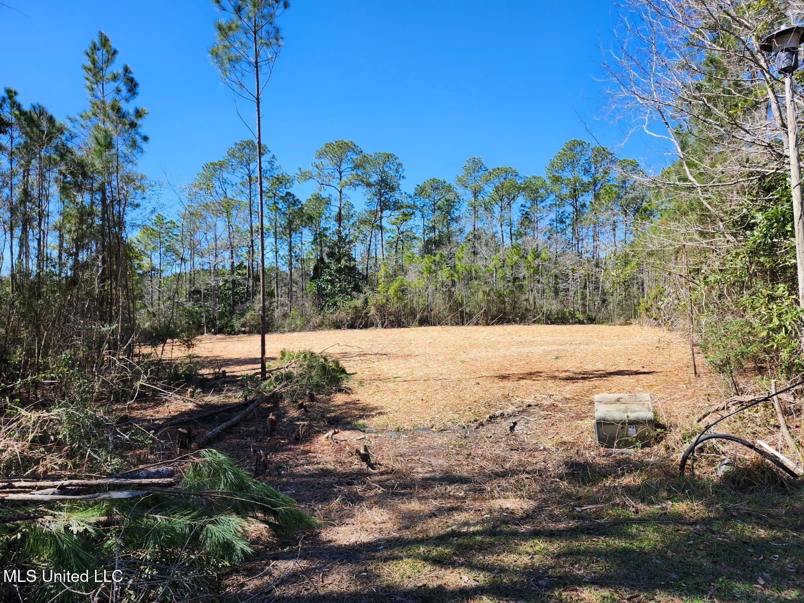 No Cherrywood Place Property Photo 1