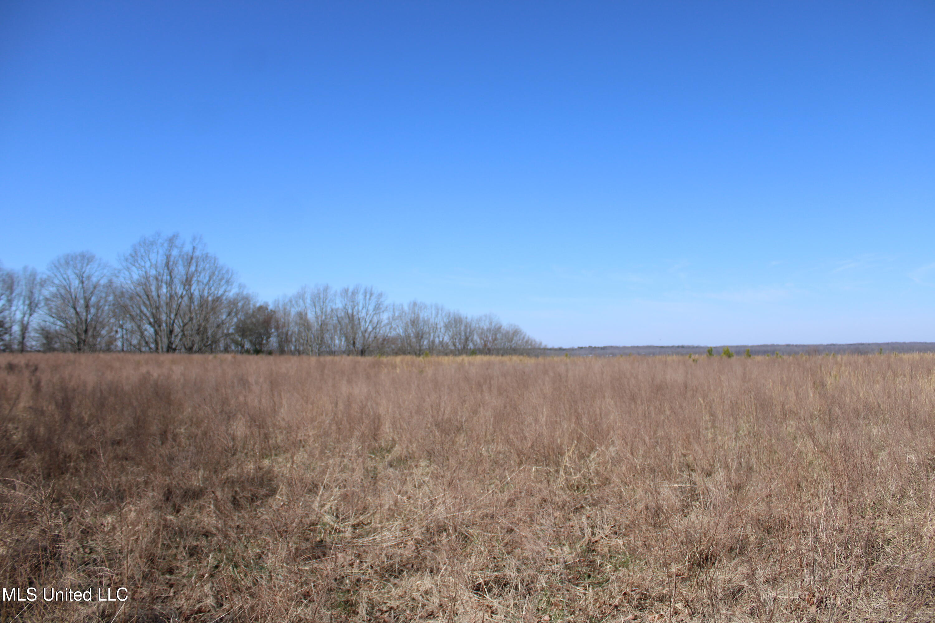 252 Shinpoch Lane Property Photo 19