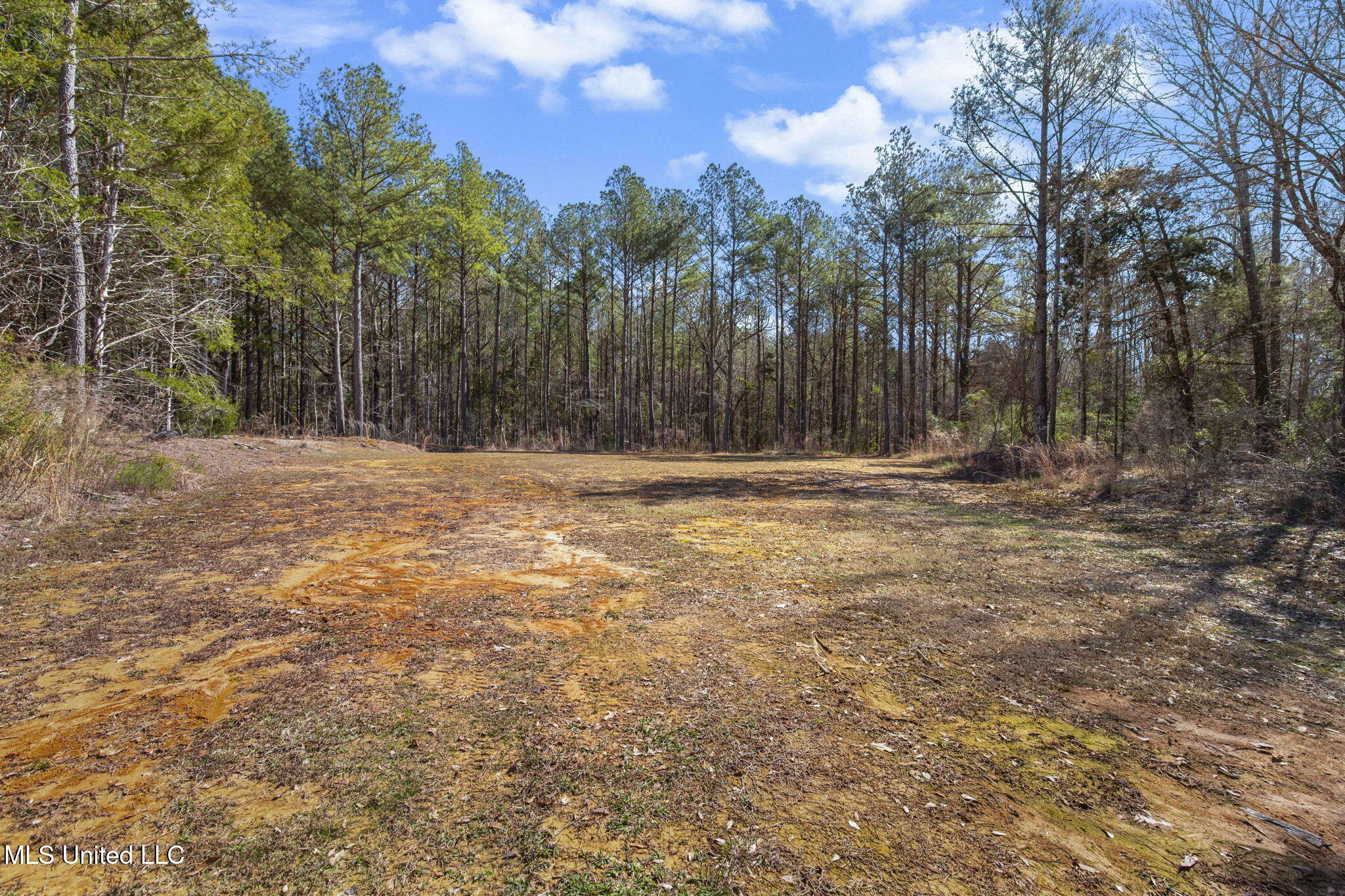 2162 Leesburg Road Property Photo 68