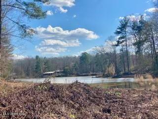 Lot 11 Turkey Creek Road Property Photo 1