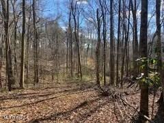 Lot 12 Turkey Creek Road Property Photo 1