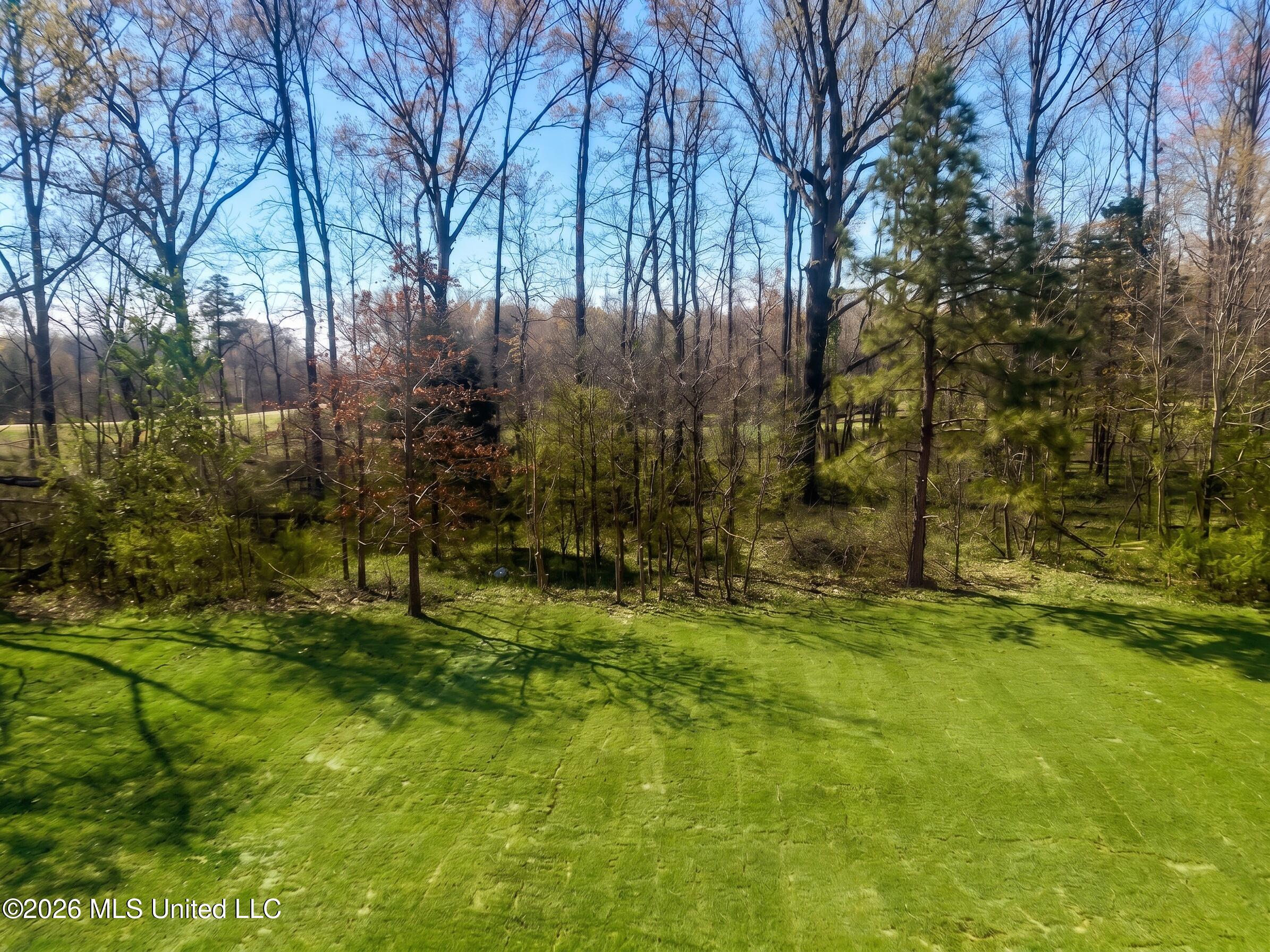 939 Buttermilk Drive Property Photo 23