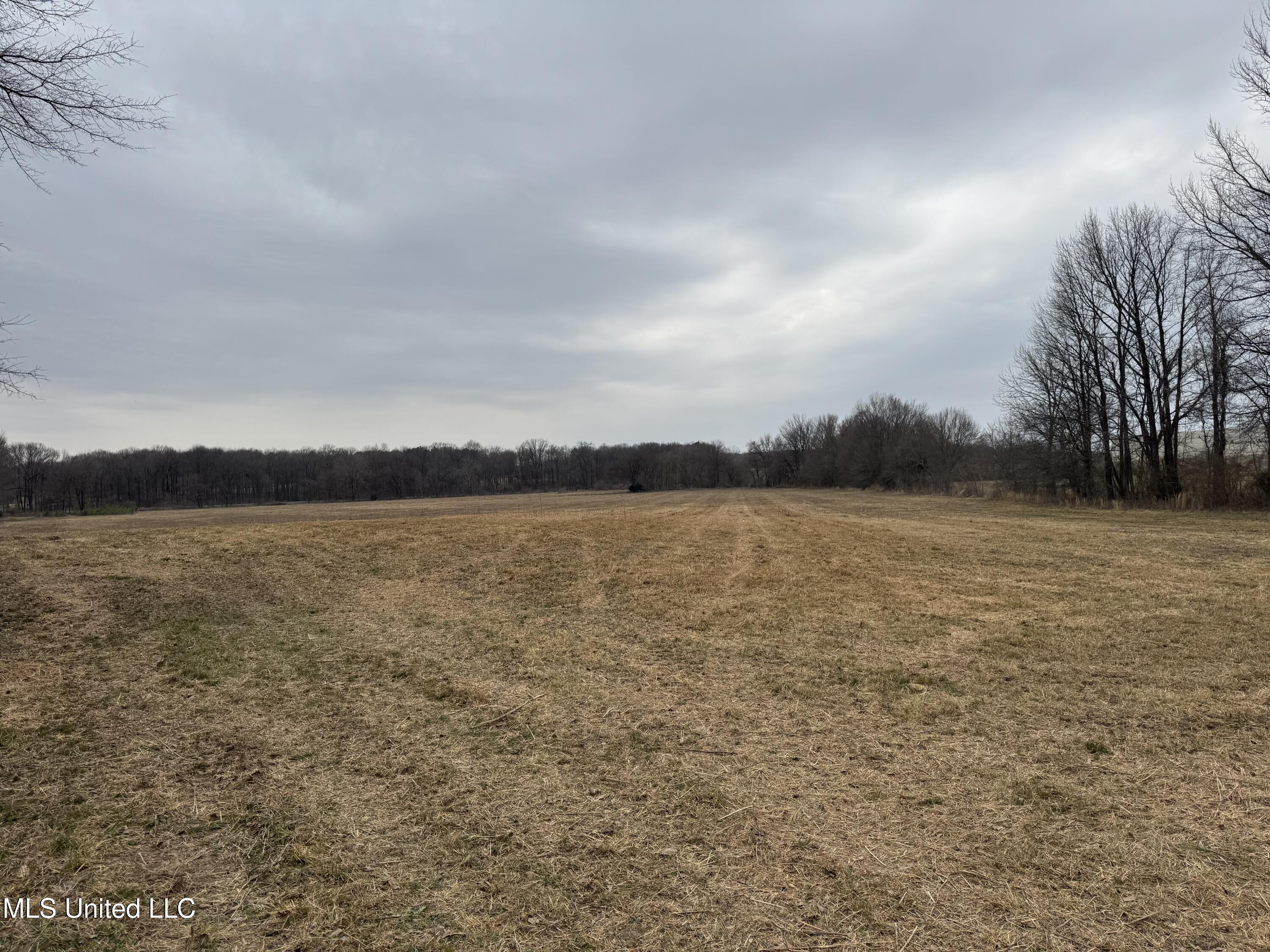 S Old Hwy 51 Property Photo 16