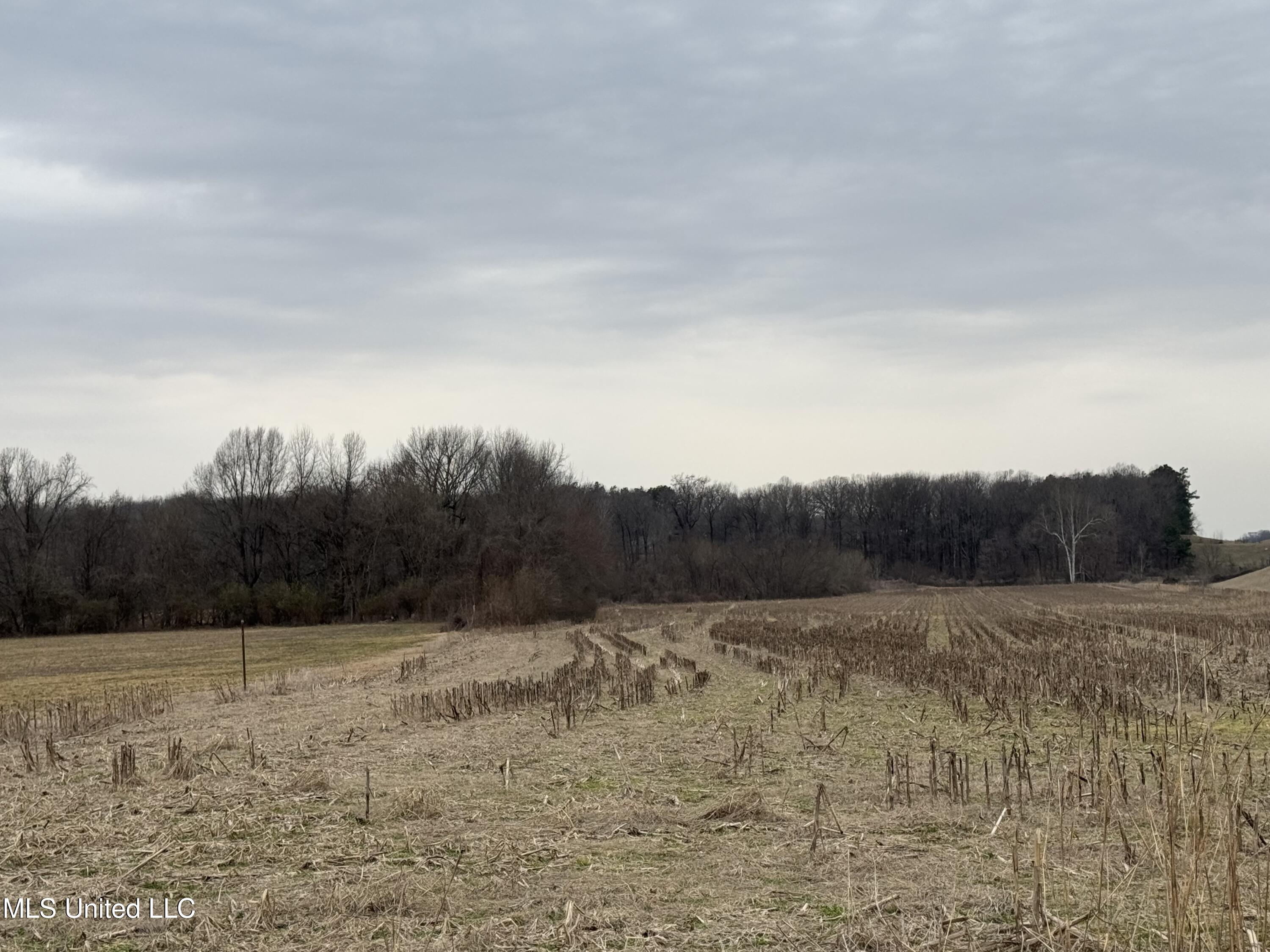 S Old Hwy 51 Property Photo 17