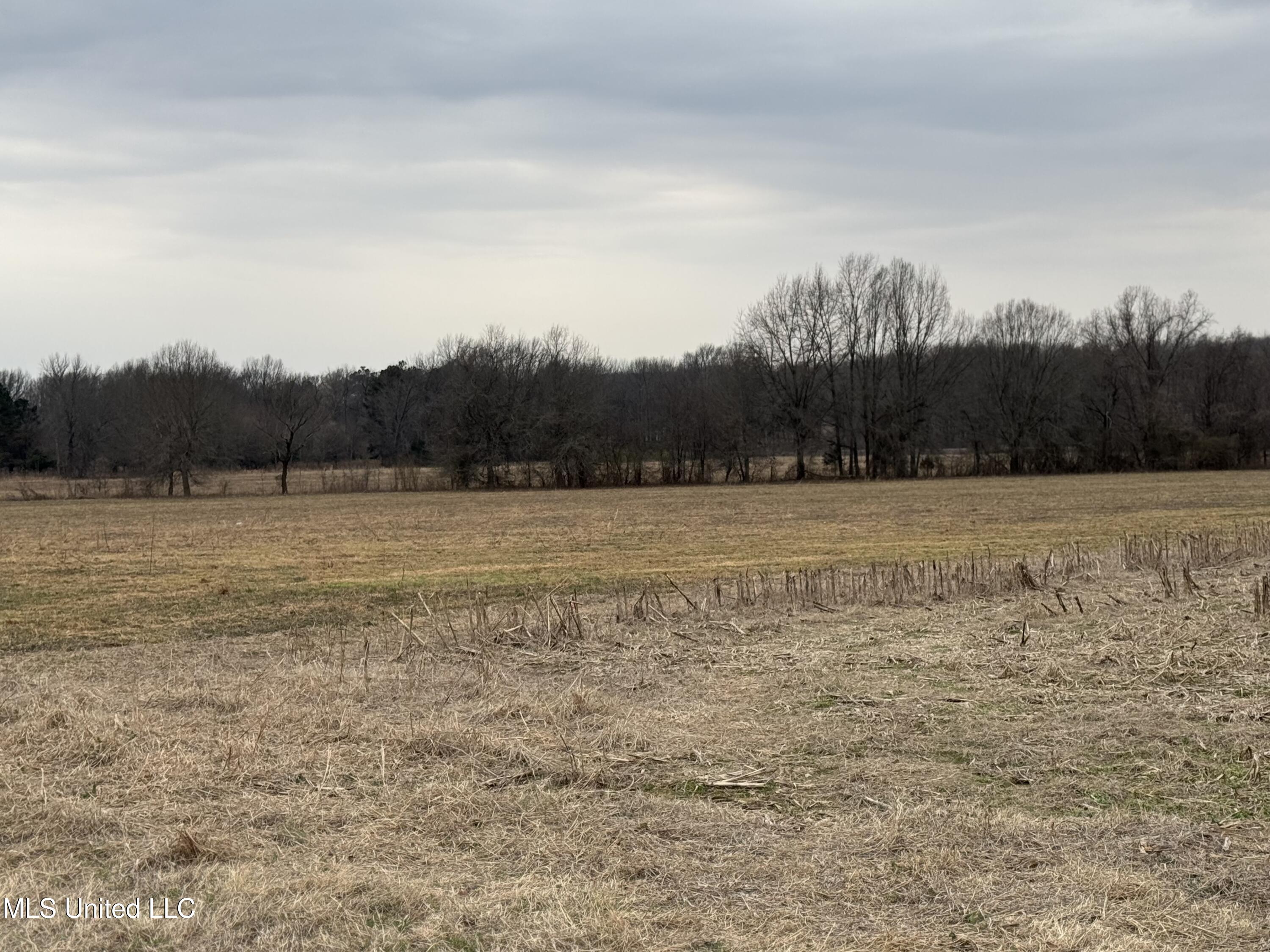 S Old Hwy 51 Property Photo 18