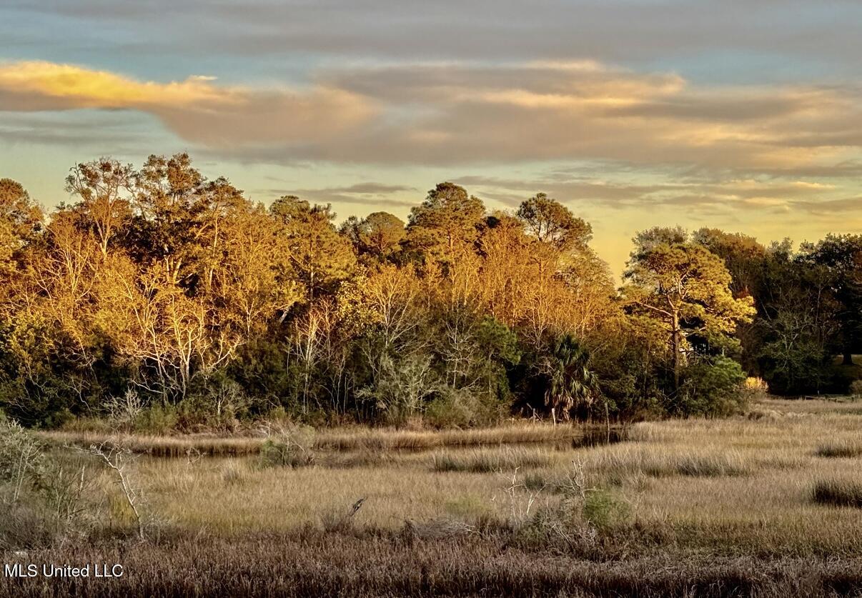 1517 Oak Leaf Circle Property Photo 15