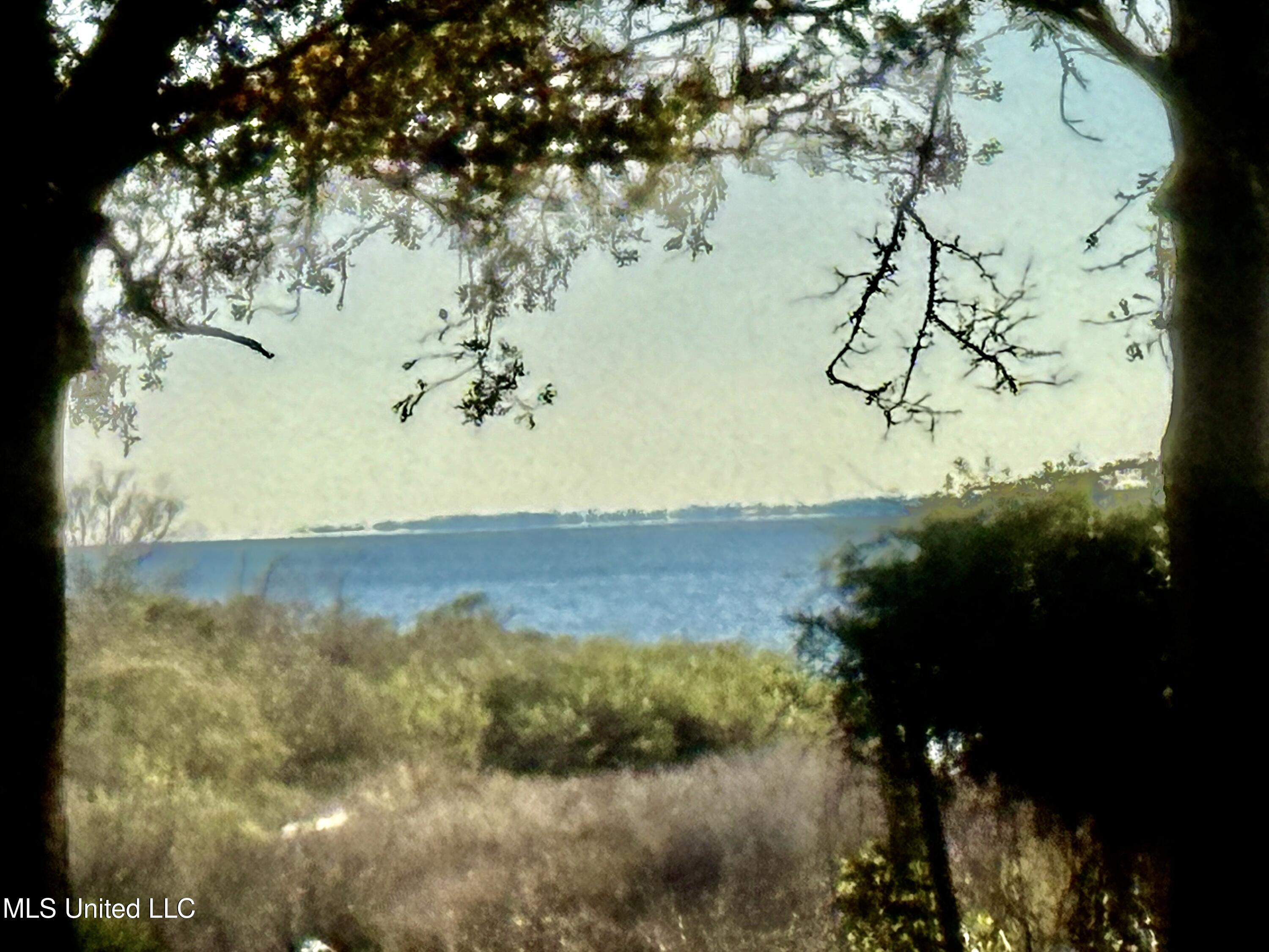 1517 Oak Leaf Circle Property Photo 66