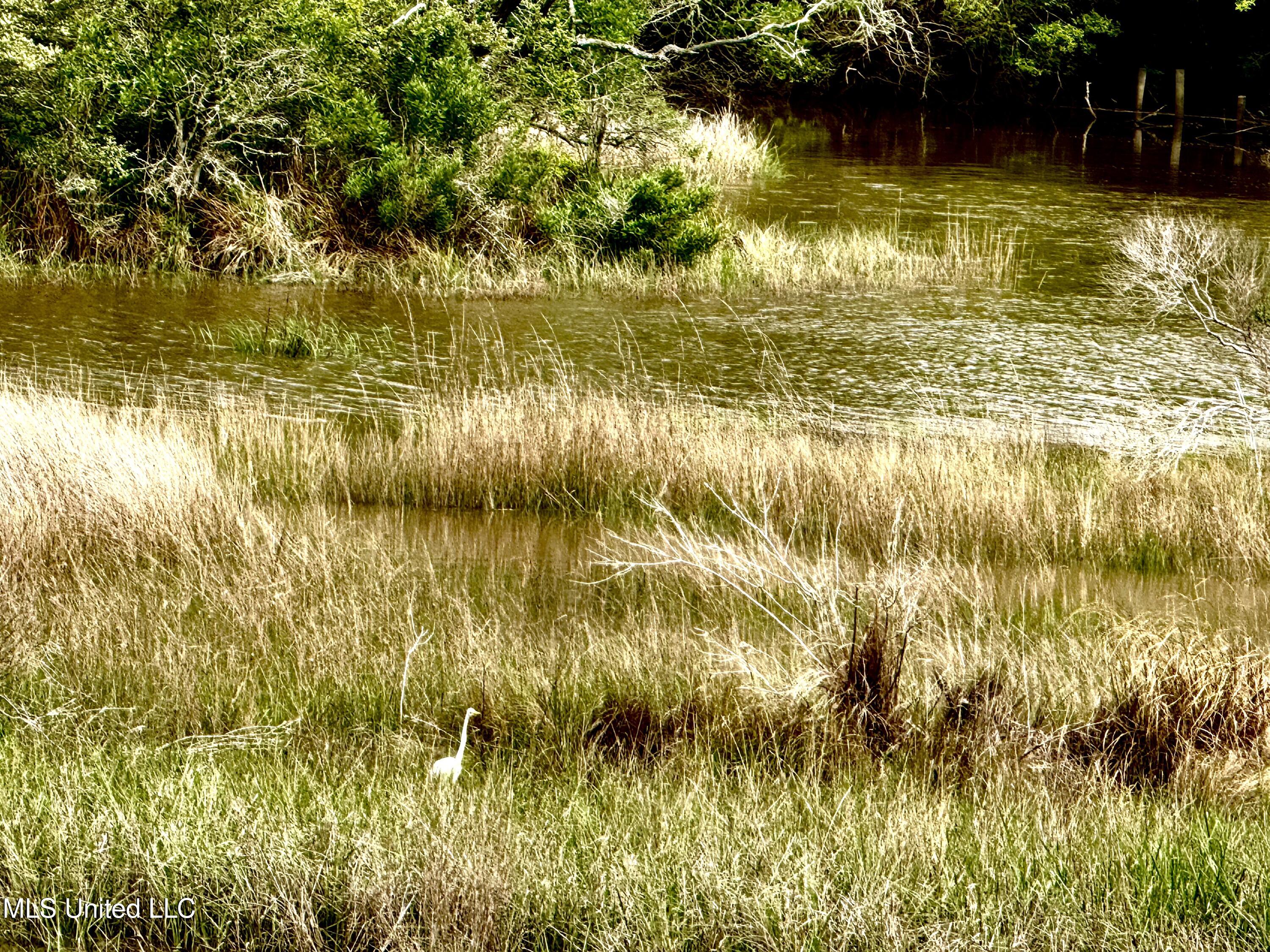 1517 Oak Leaf Circle Property Photo 69