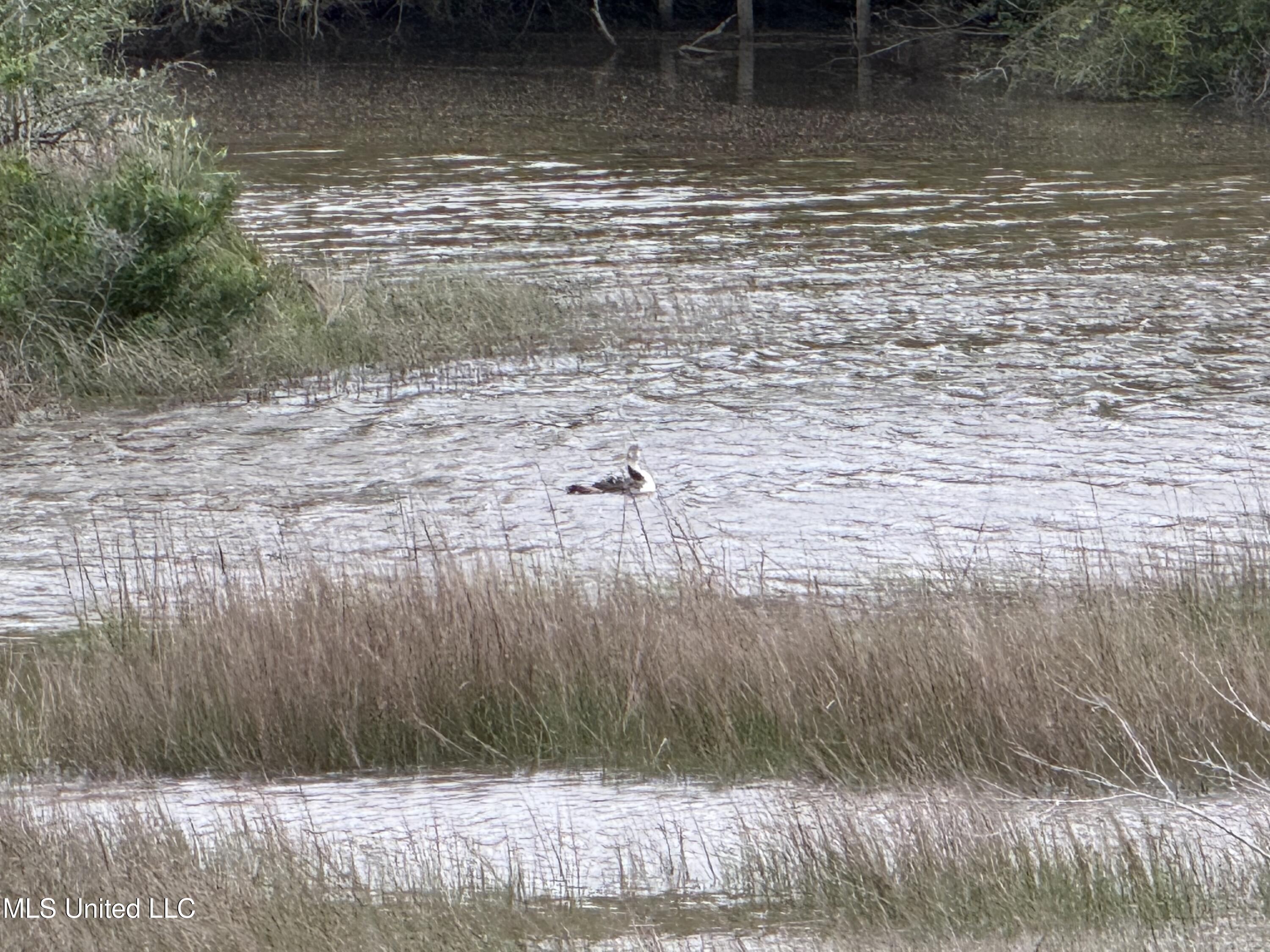 1517 Oak Leaf Circle Property Photo 71