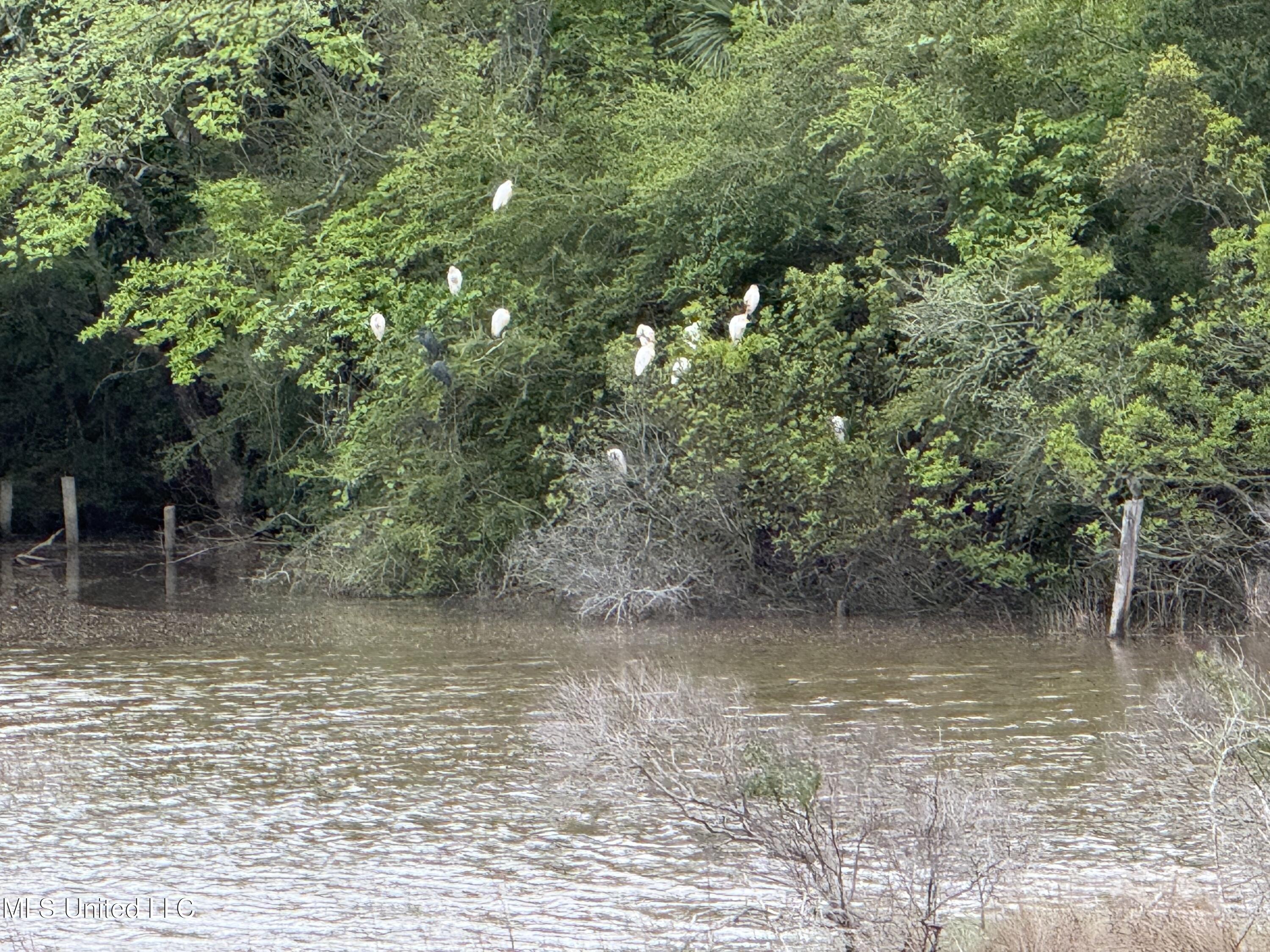 1517 Oak Leaf Circle Property Photo 72