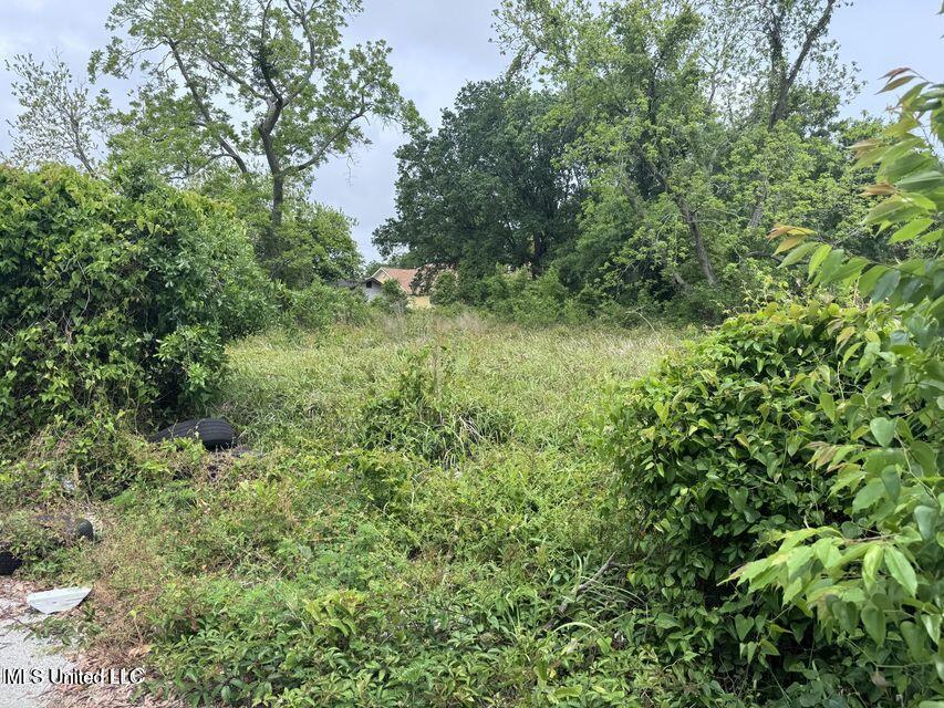 Todd Alley Property Photo 1