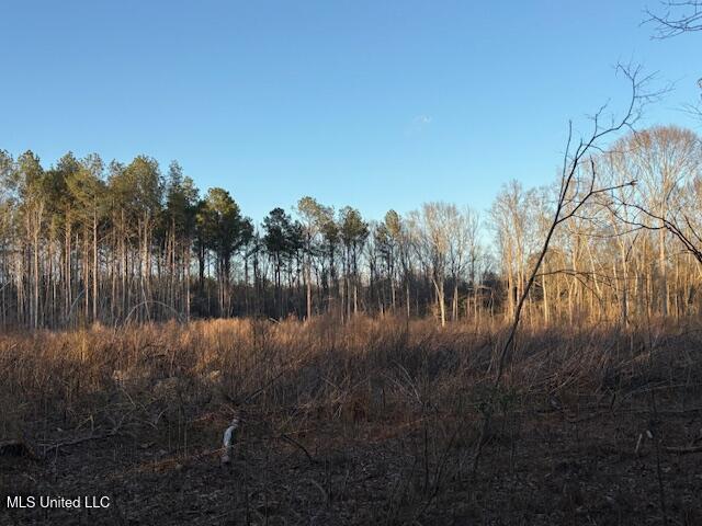 16178 Highway 13 Property Photo 1