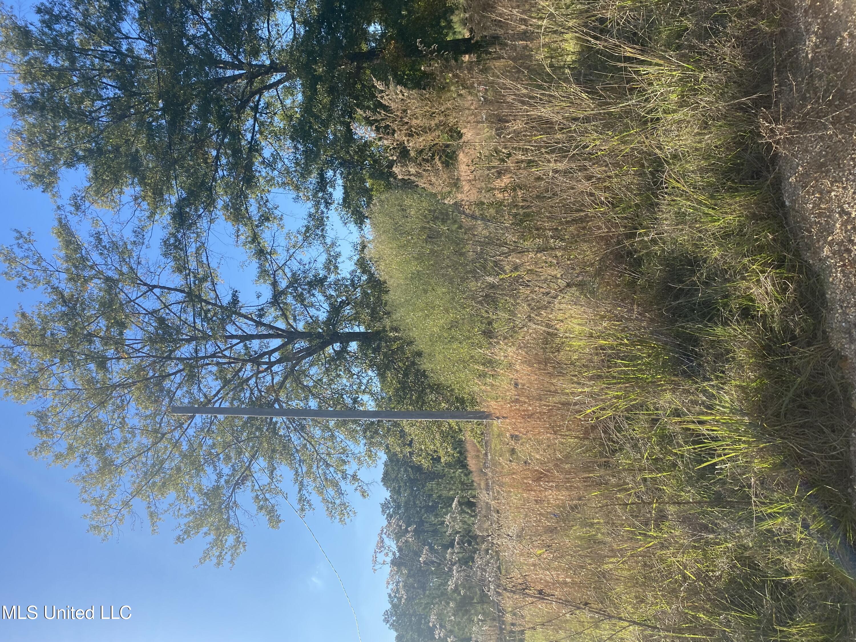 12 Willie Mae Pitts Road Property Photo