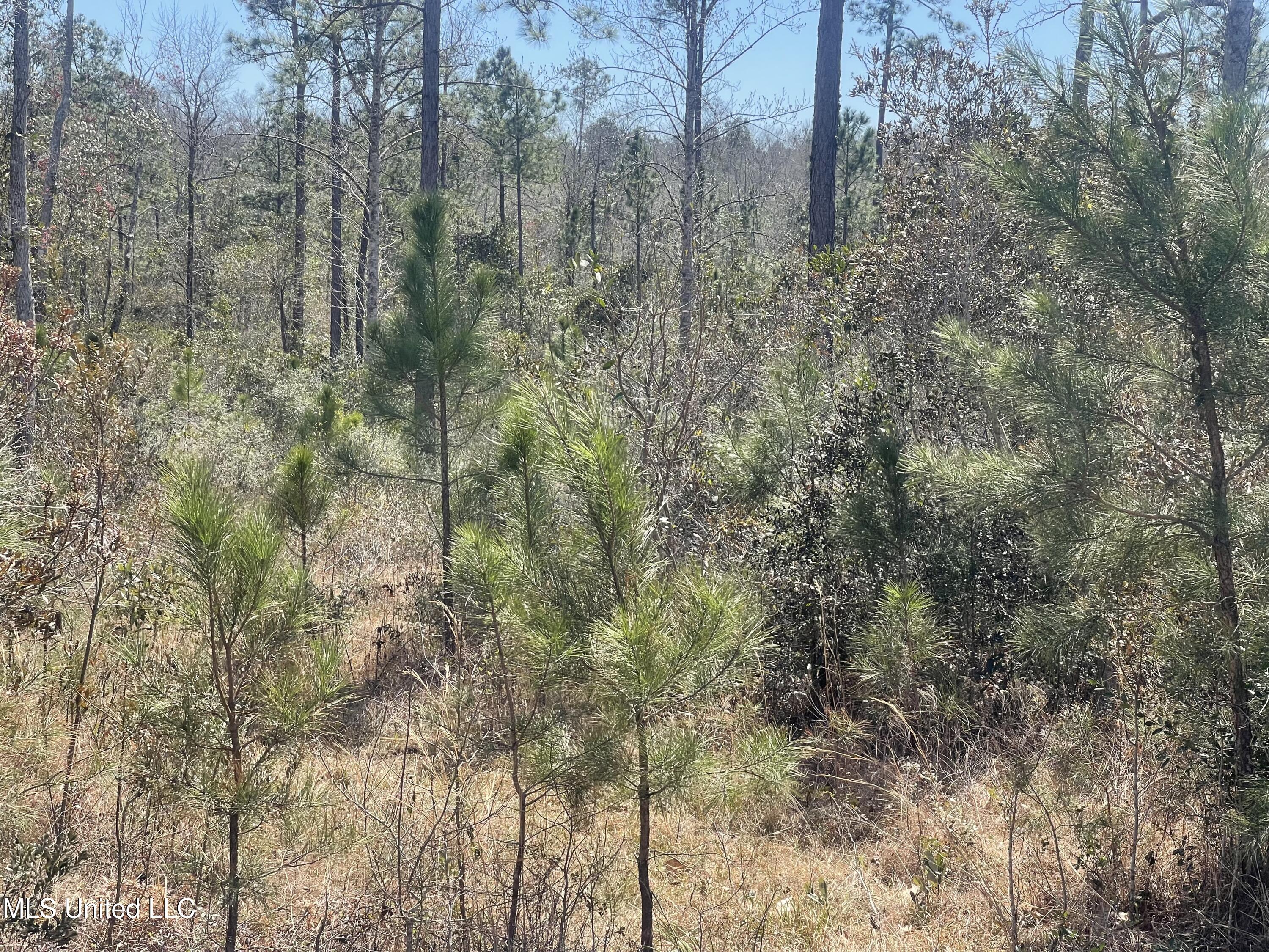 Broken Arrow Property Photo 2