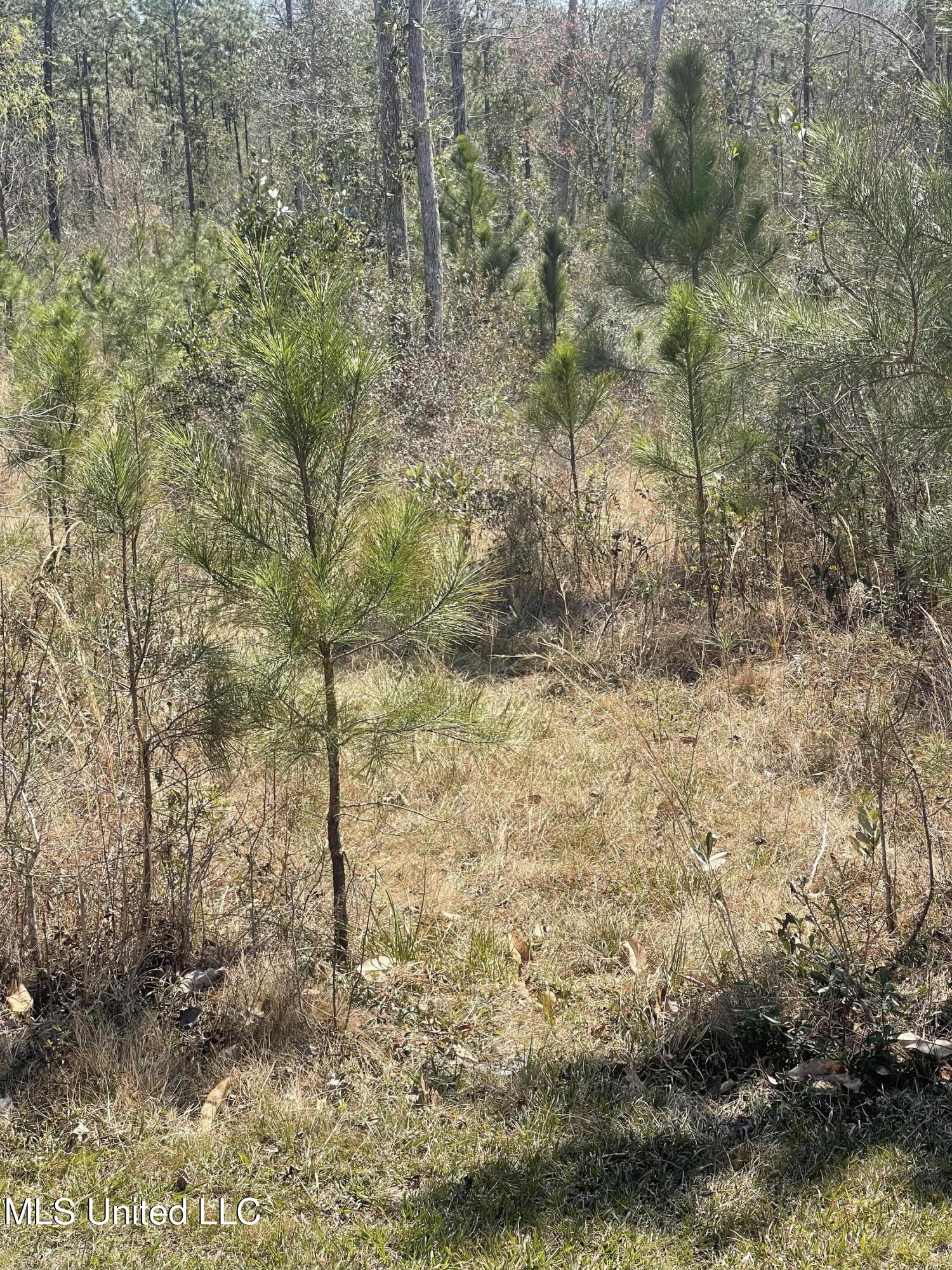 Broken Arrow Property Photo 5
