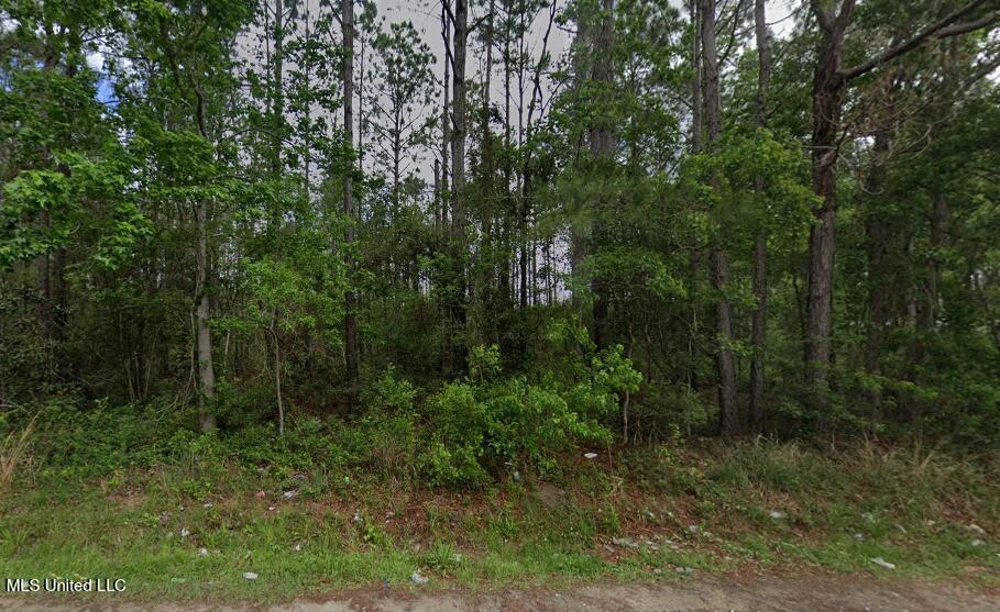 0 W Hinds Street Property Photo 1