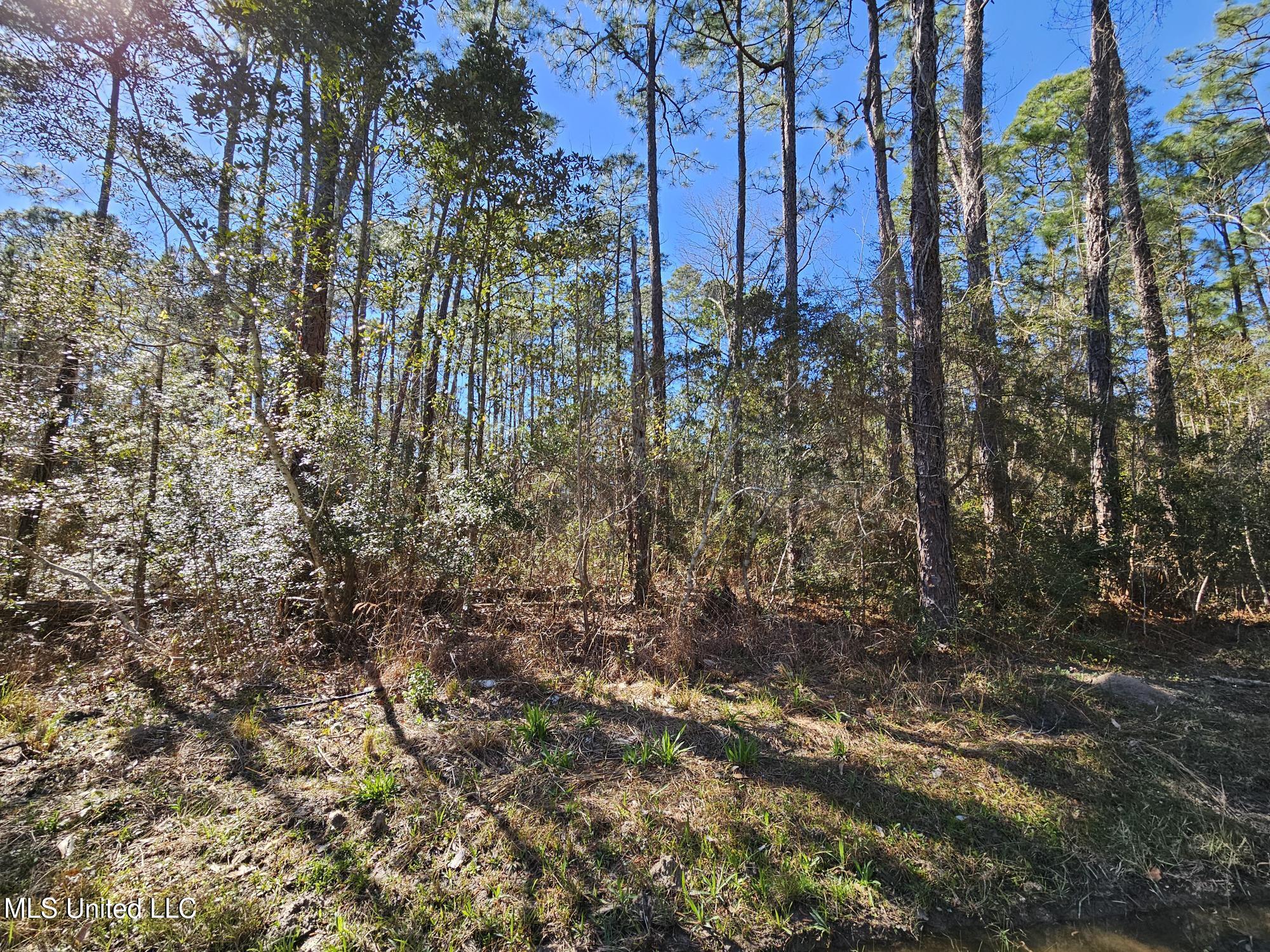 Lot 29 Gregory Drive Property Photo 1