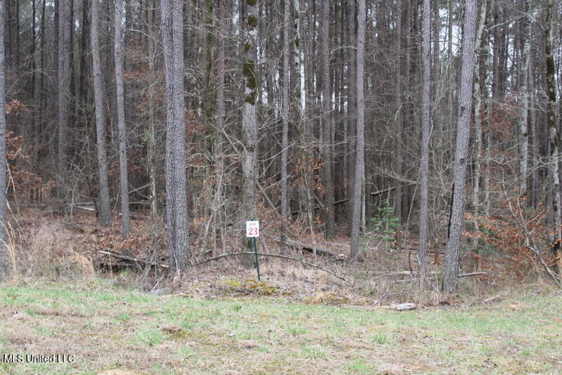 13319 Ella Lane