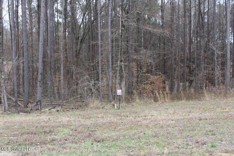 13357 Ella Lane Property Photo 1
