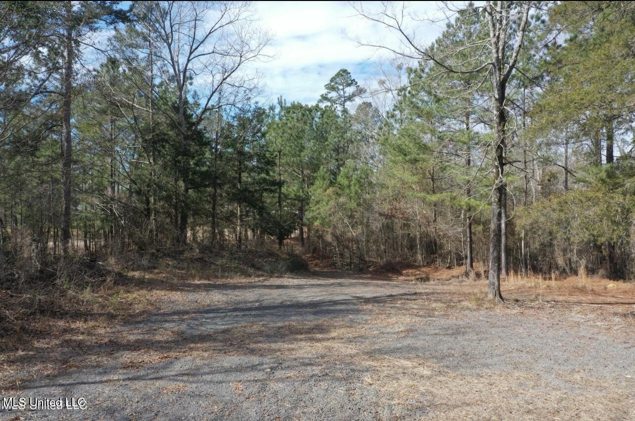 Shiloh Road Property Photo 2