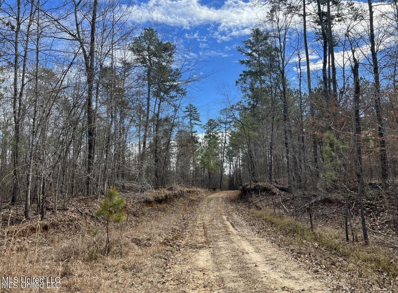 Shiloh Road Property Photo 3