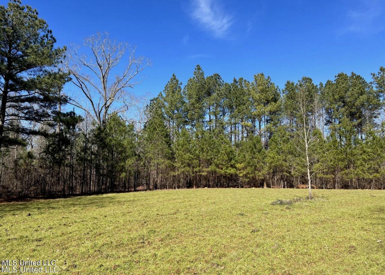 Shiloh Road Property Photo 5