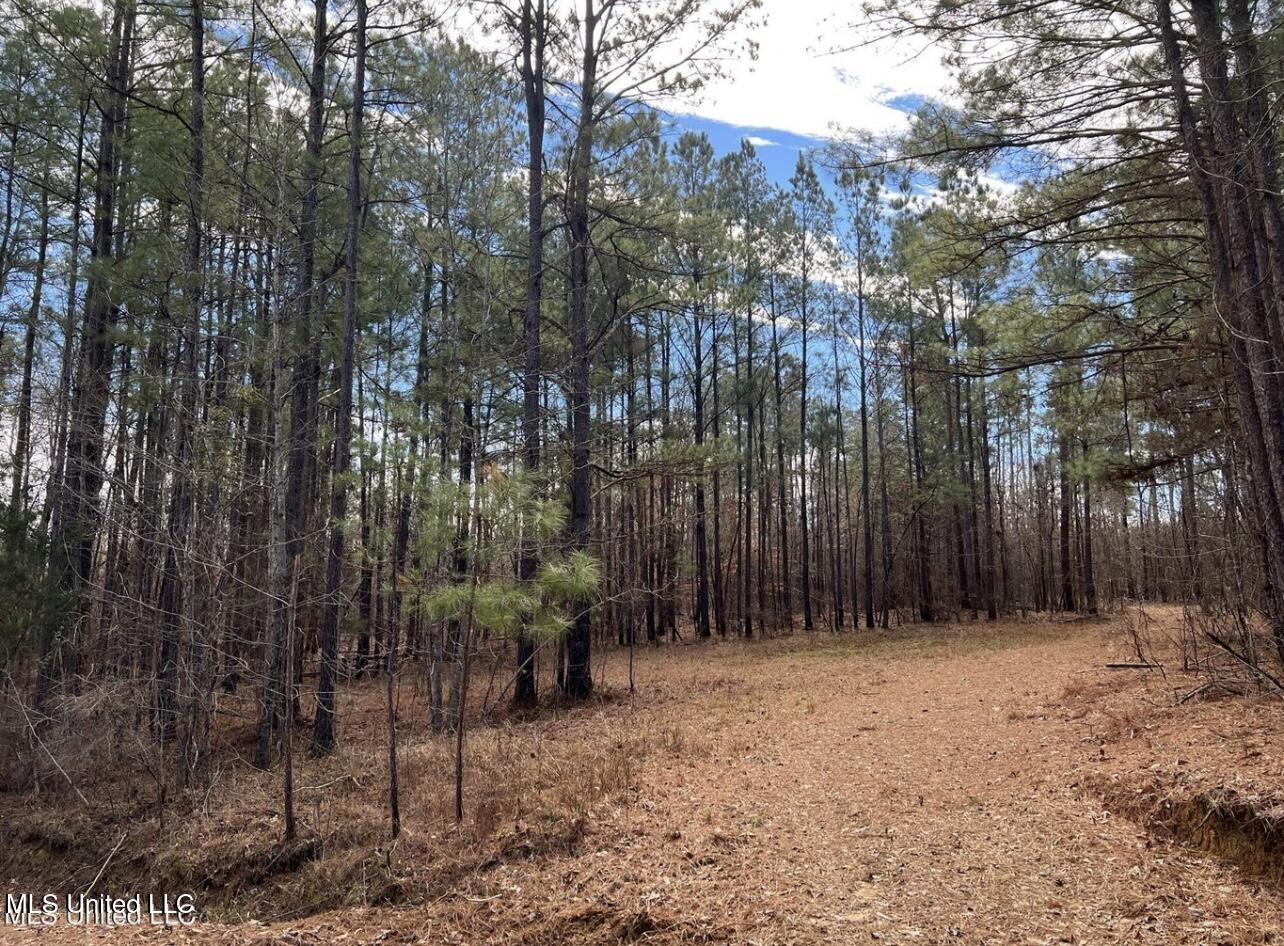 Shiloh Road Property Photo 6