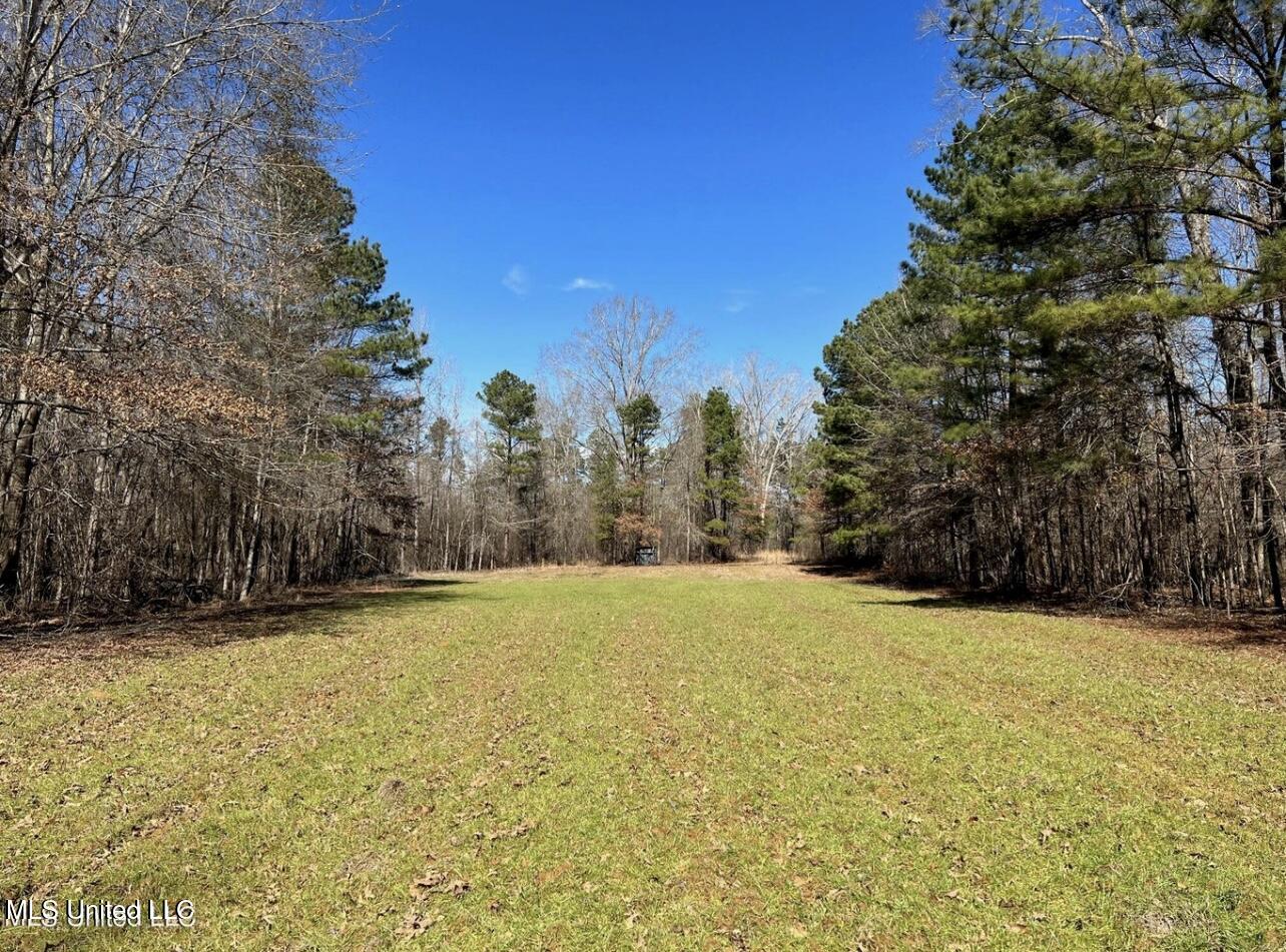 Shiloh Road Property Photo 7