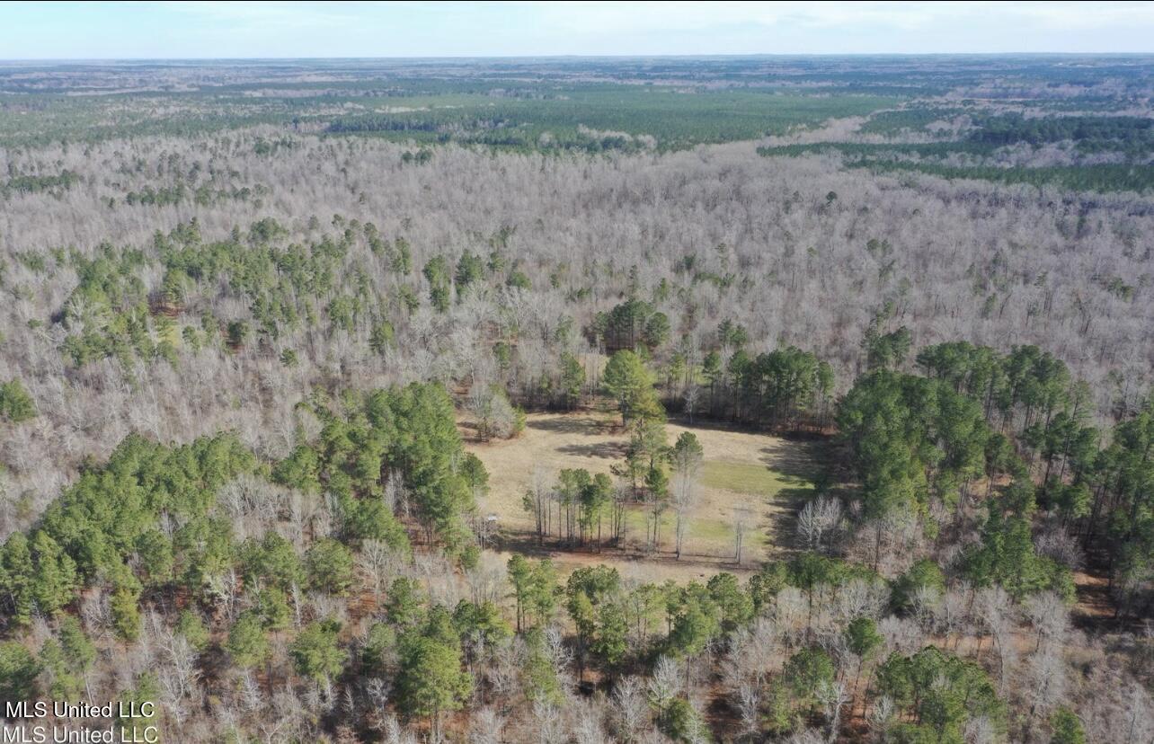 Shiloh Road Property Photo 11