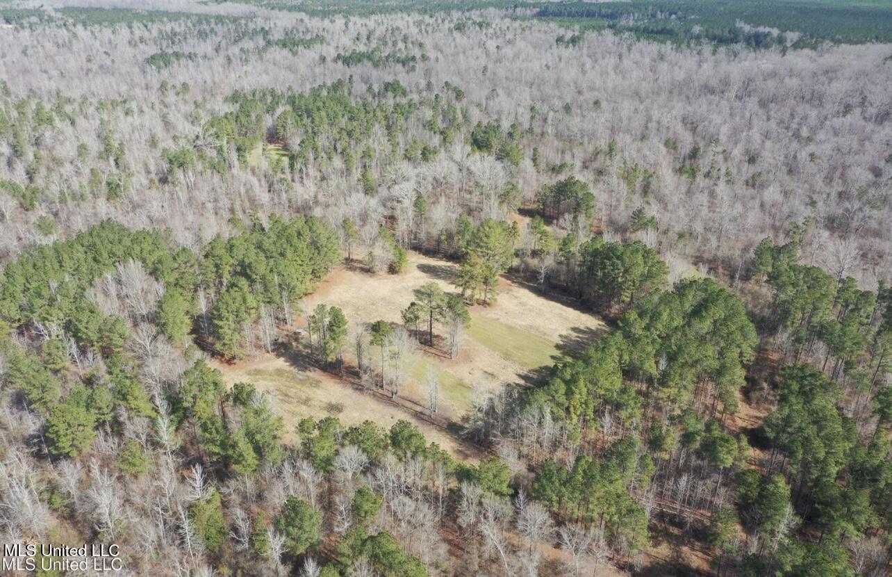 Shiloh Road Property Photo 12