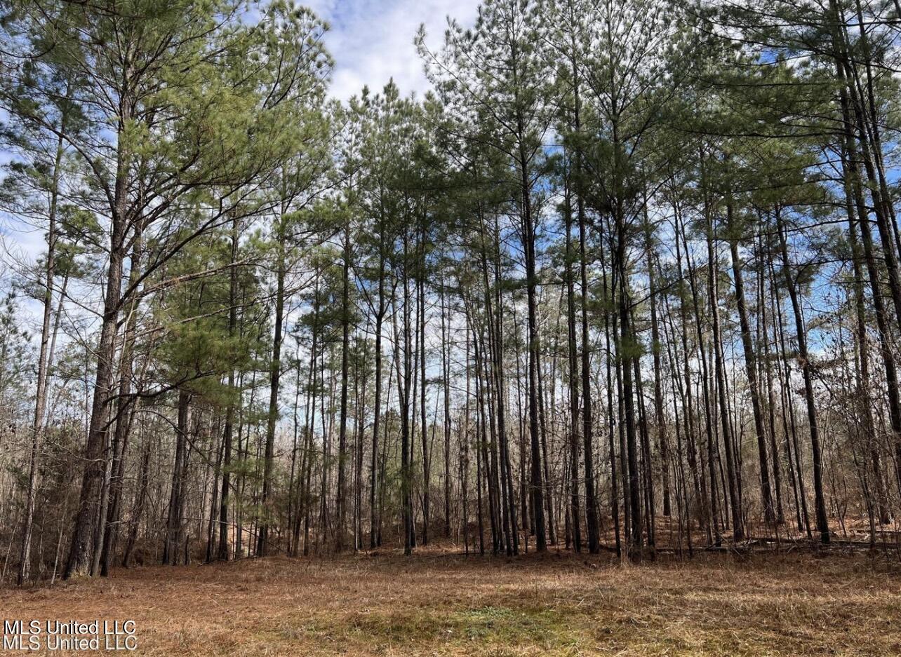 Shiloh Road Property Photo 13