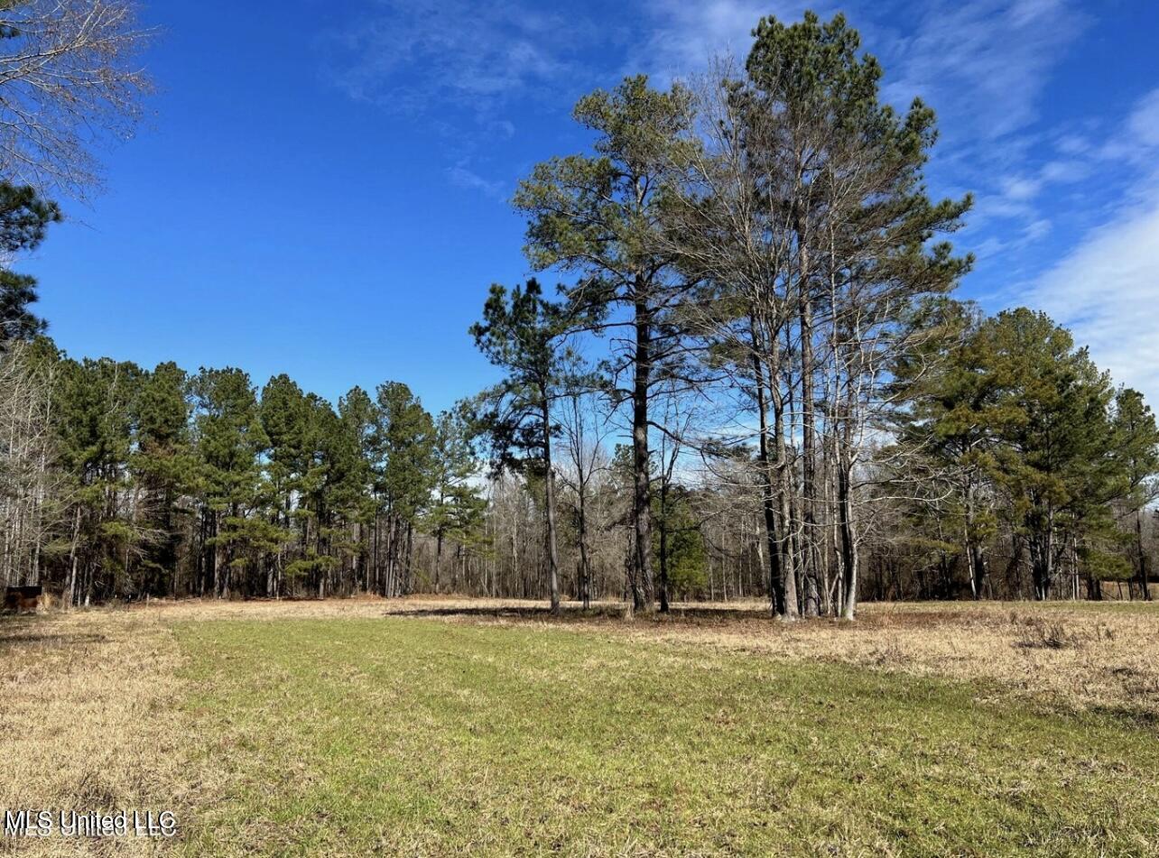 Shiloh Road Property Photo 14
