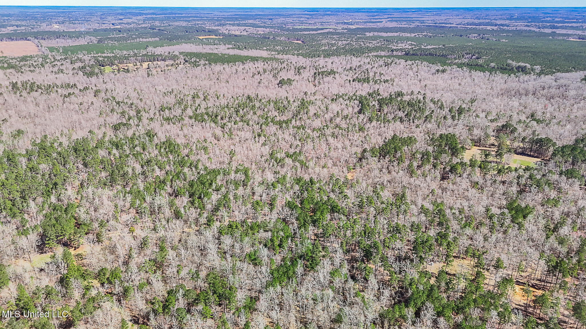 Shiloh Road Property Photo 17