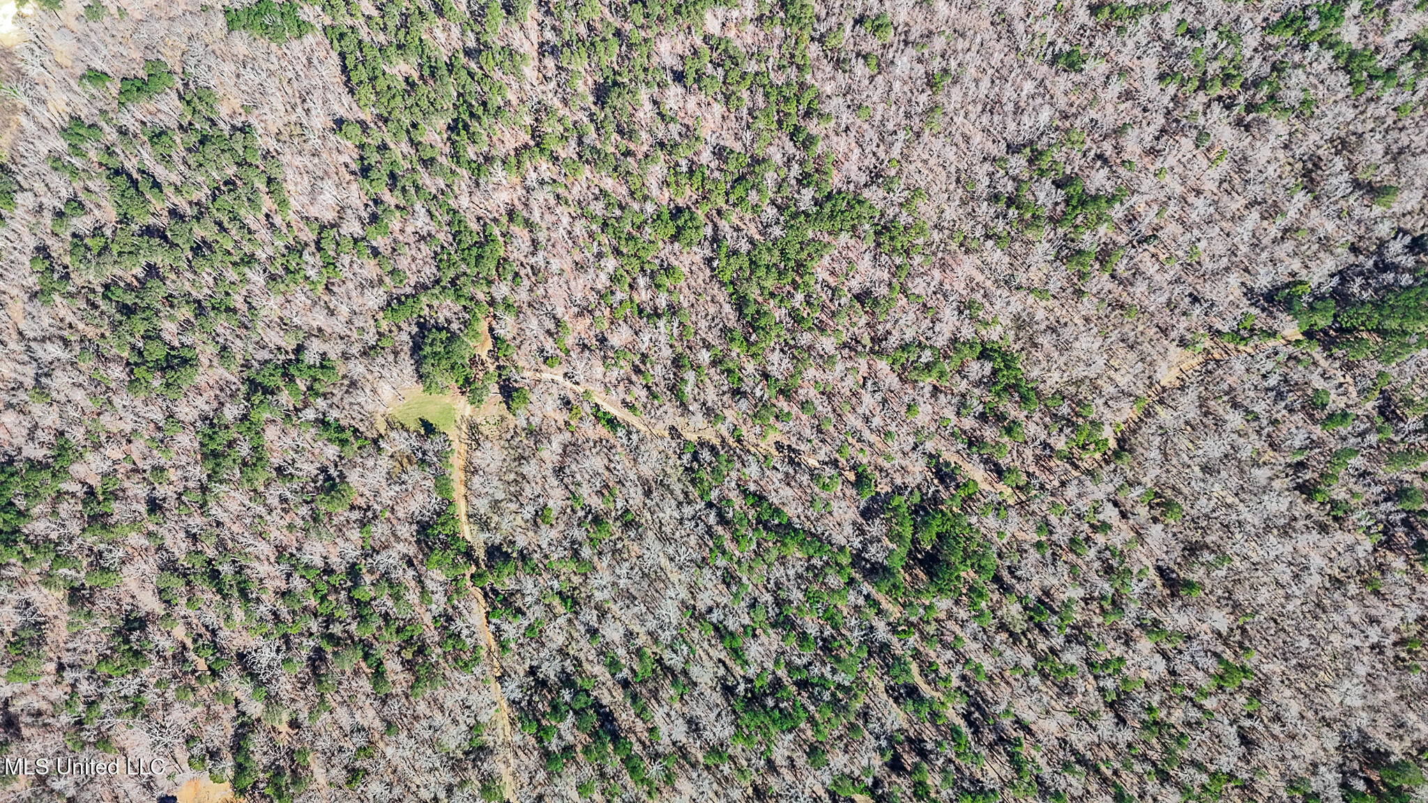 Shiloh Road Property Photo 19