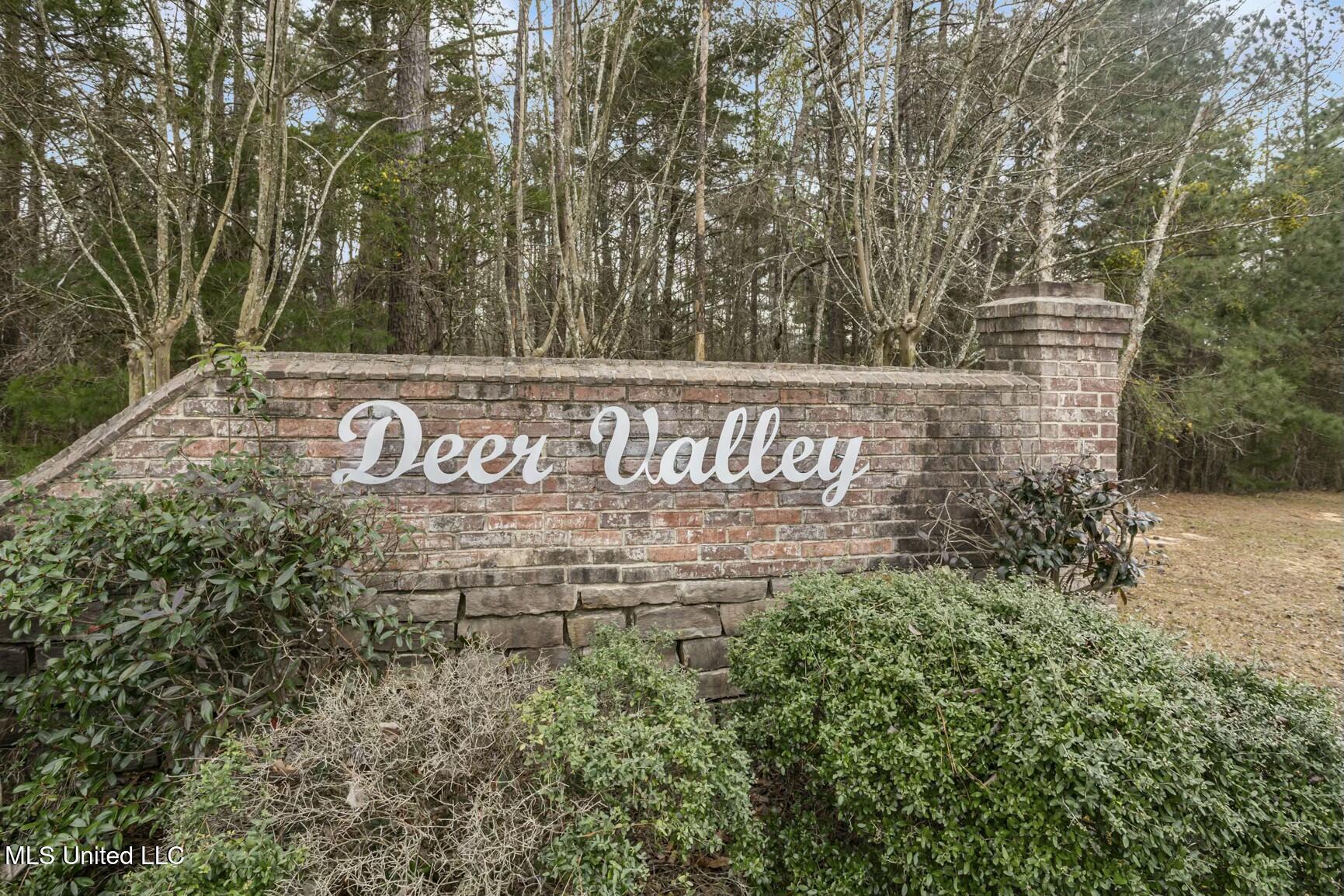 559 White Oak Road Property Photo 47