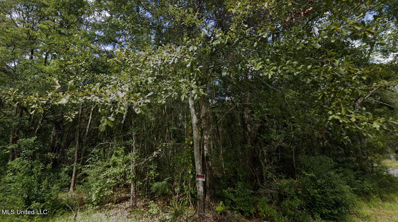 Lloyd Street Property Photo 1