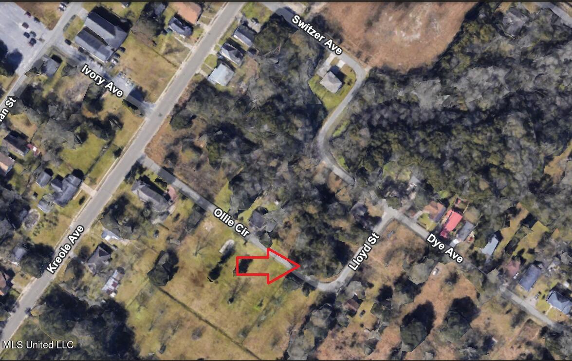 Lloyd Street Property Photo 2