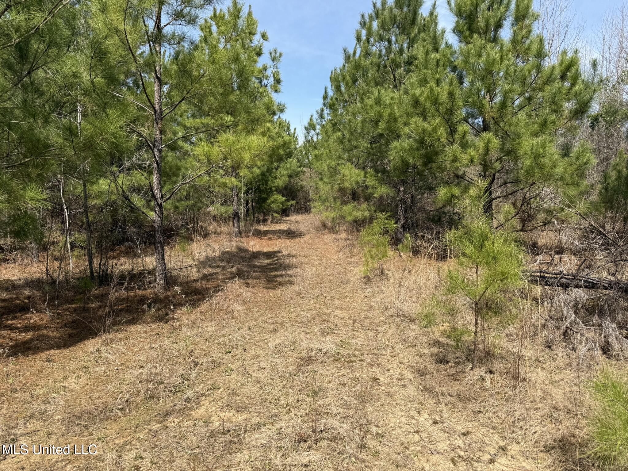 Clyde Evans Rd Property Photo 1