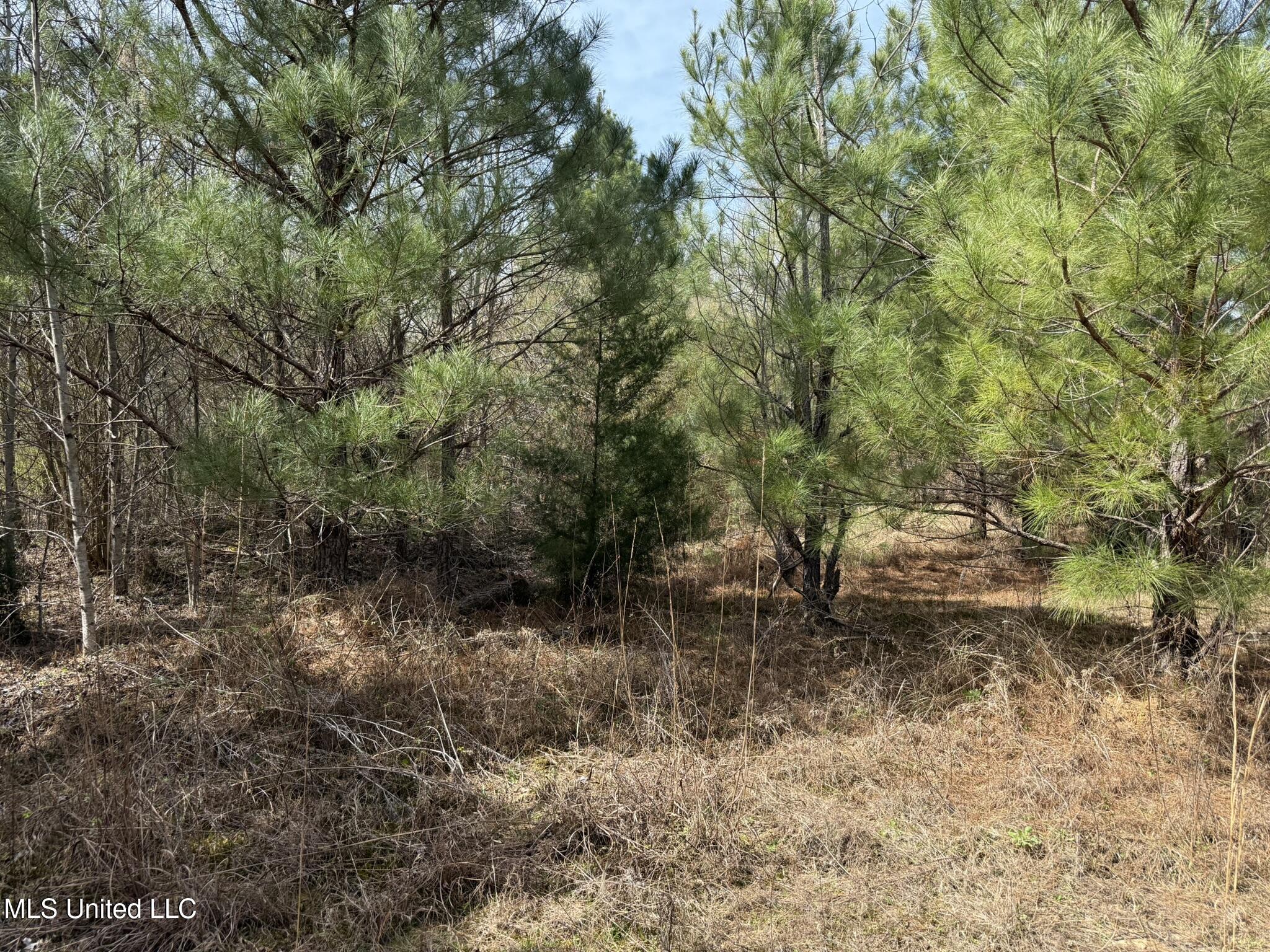 Clyde Evans Rd Property Photo 3