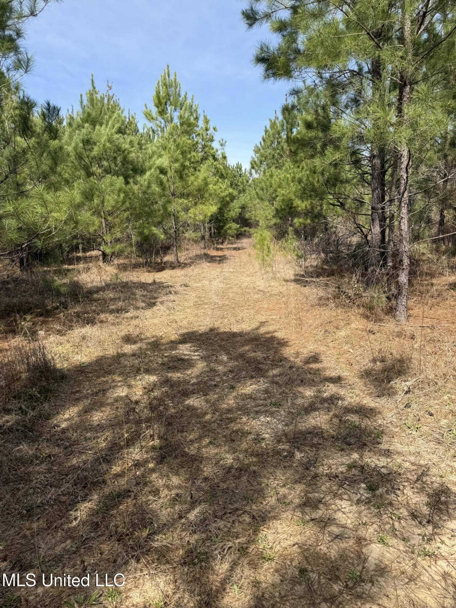 Clyde Evans Rd Property Photo 4