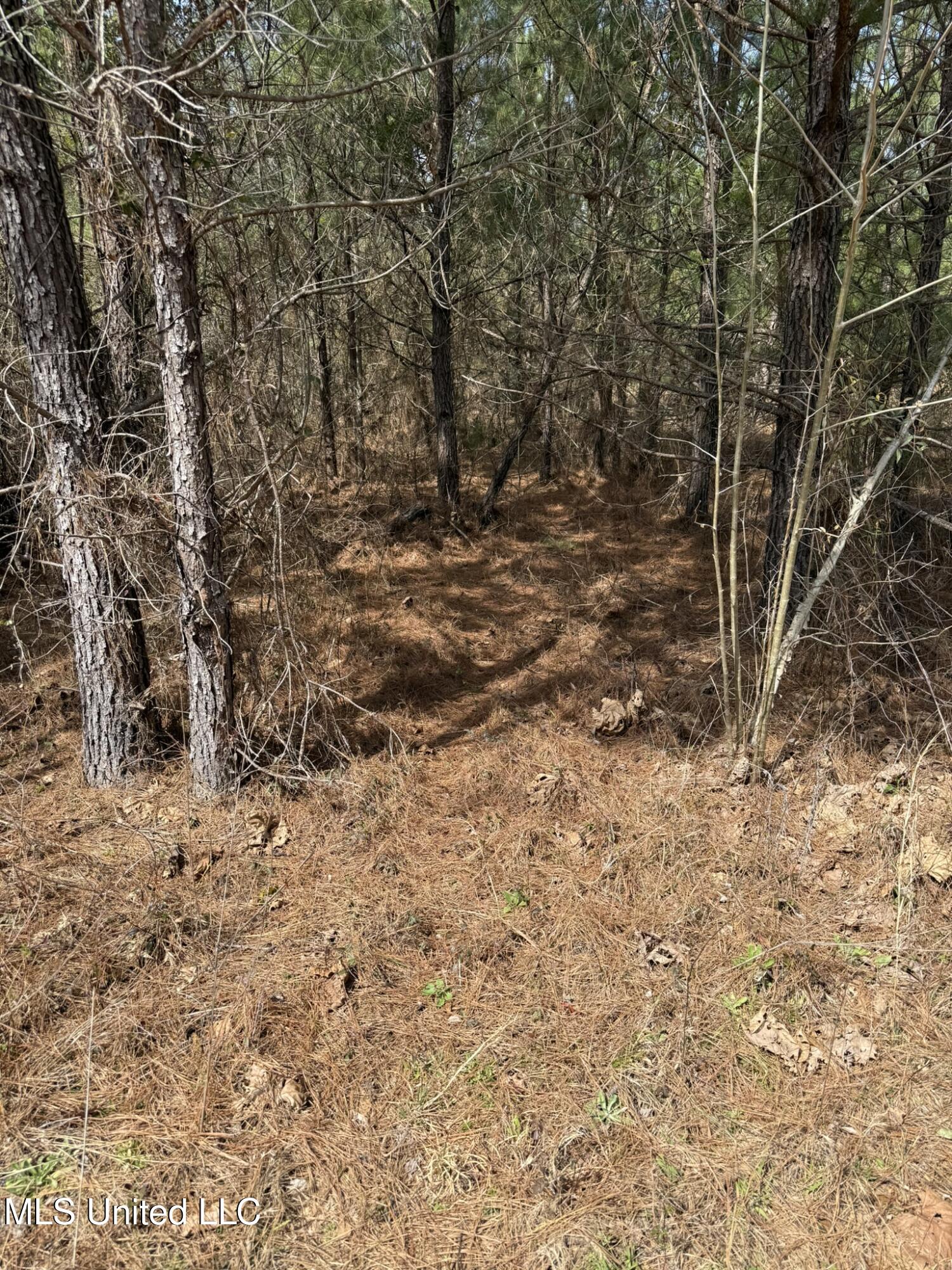 Clyde Evans Rd Property Photo 5