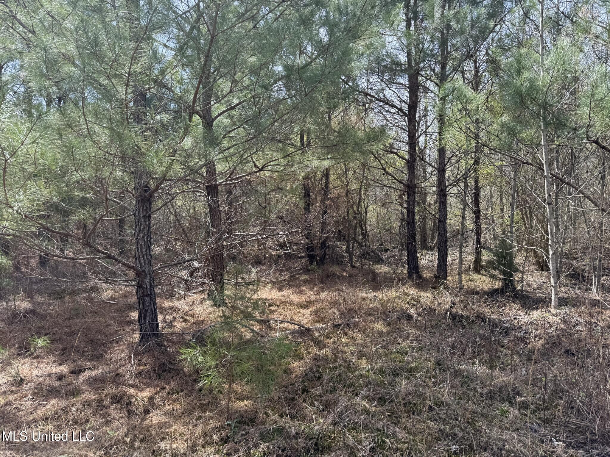 Clyde Evans Rd Property Photo 6