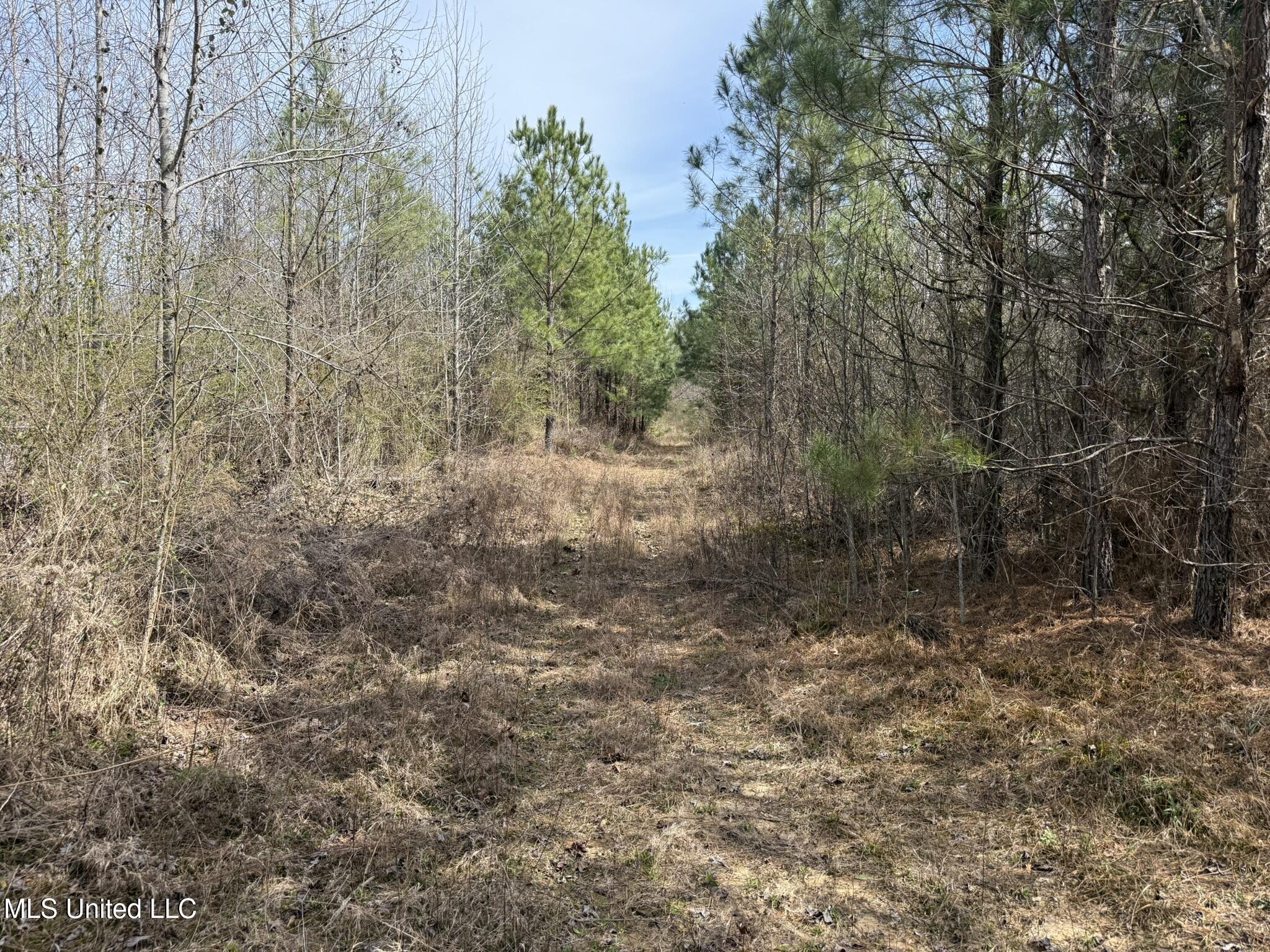 Clyde Evans Rd Property Photo 7