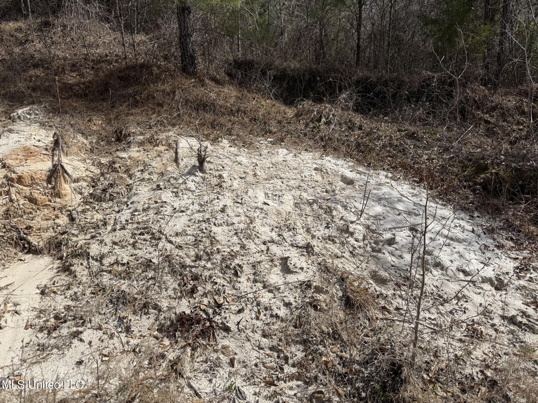 Clyde Evans Rd Property Photo 8