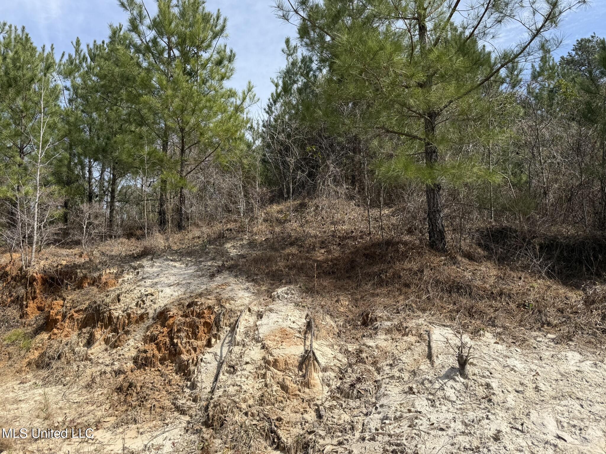 Clyde Evans Rd Property Photo 9