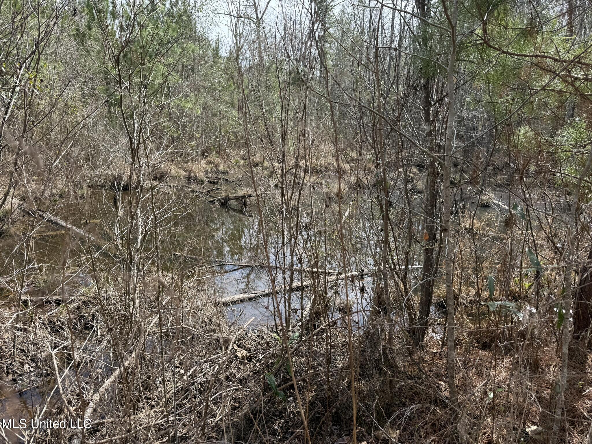 Clyde Evans Rd Property Photo 10