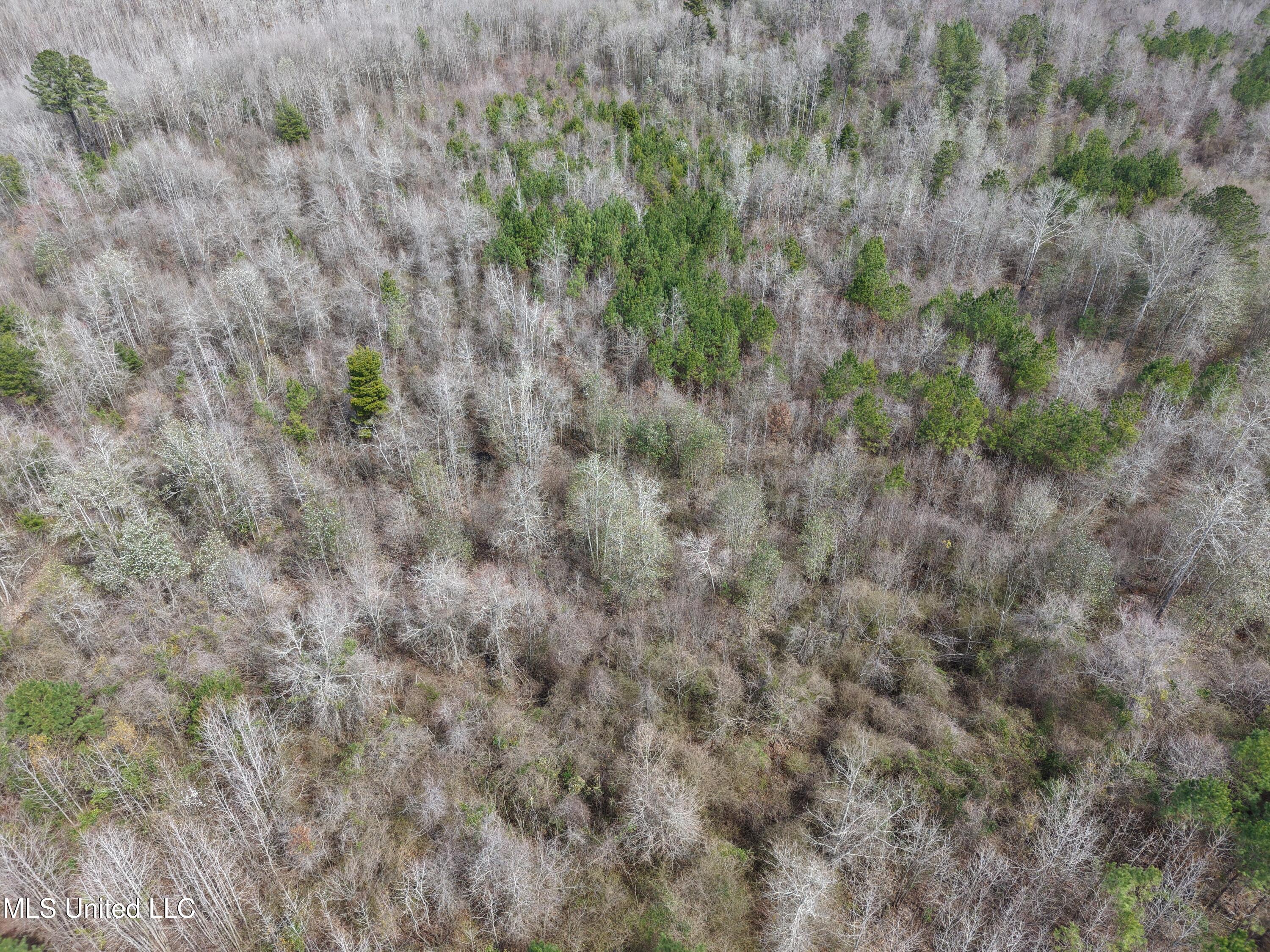 Clyde Evans Rd Property Photo 16