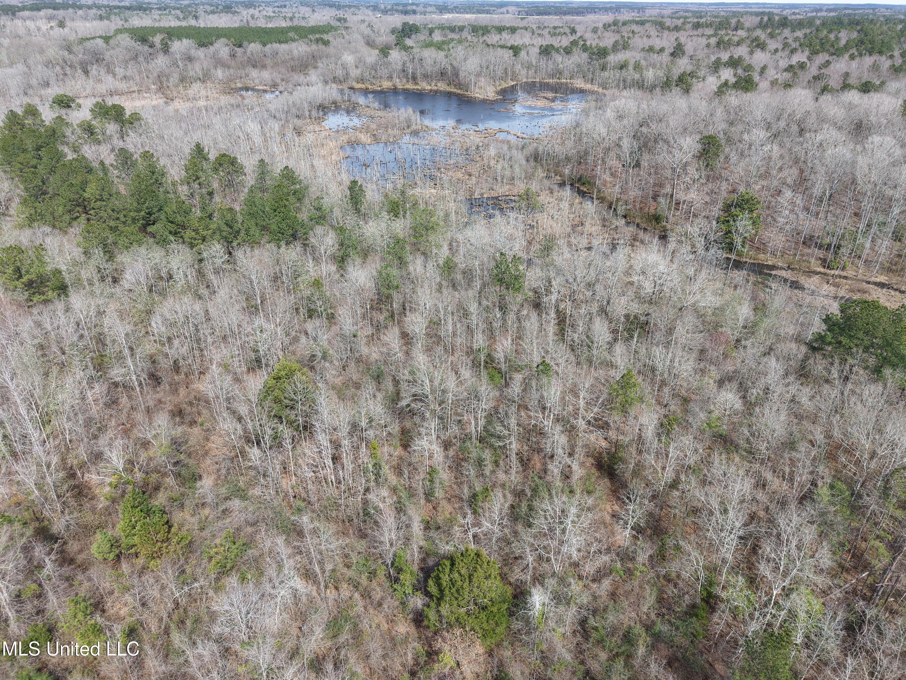 Clyde Evans Rd Property Photo 17