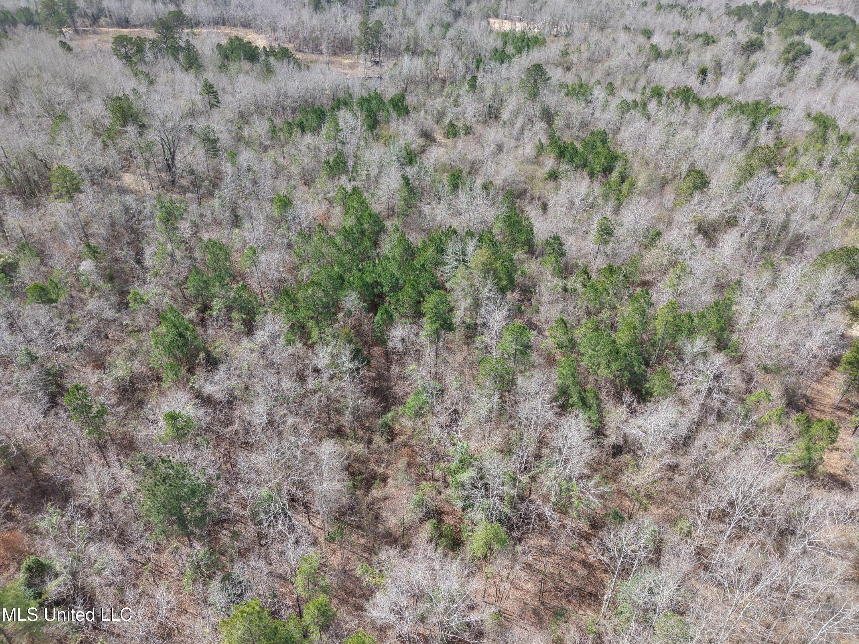 Clyde Evans Rd Property Photo 18