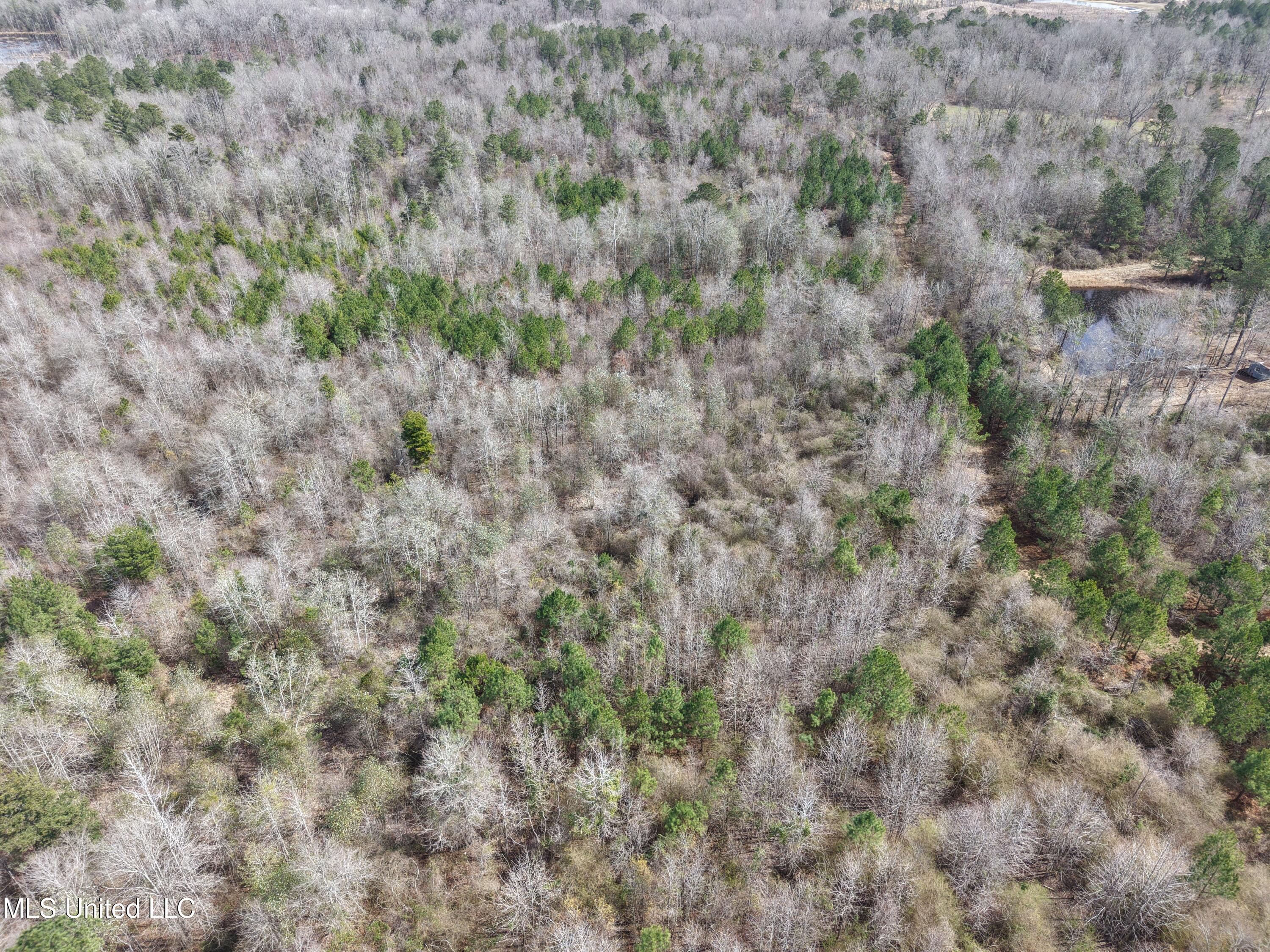 Clyde Evans Rd Property Photo 20